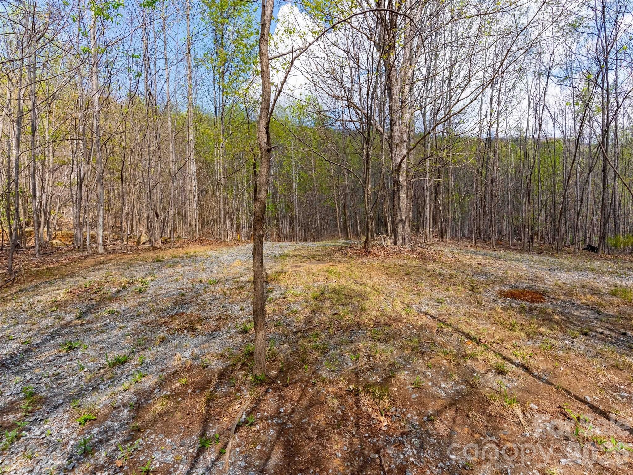 Lot 196 Cherry Hill 196 Property Photo 7
