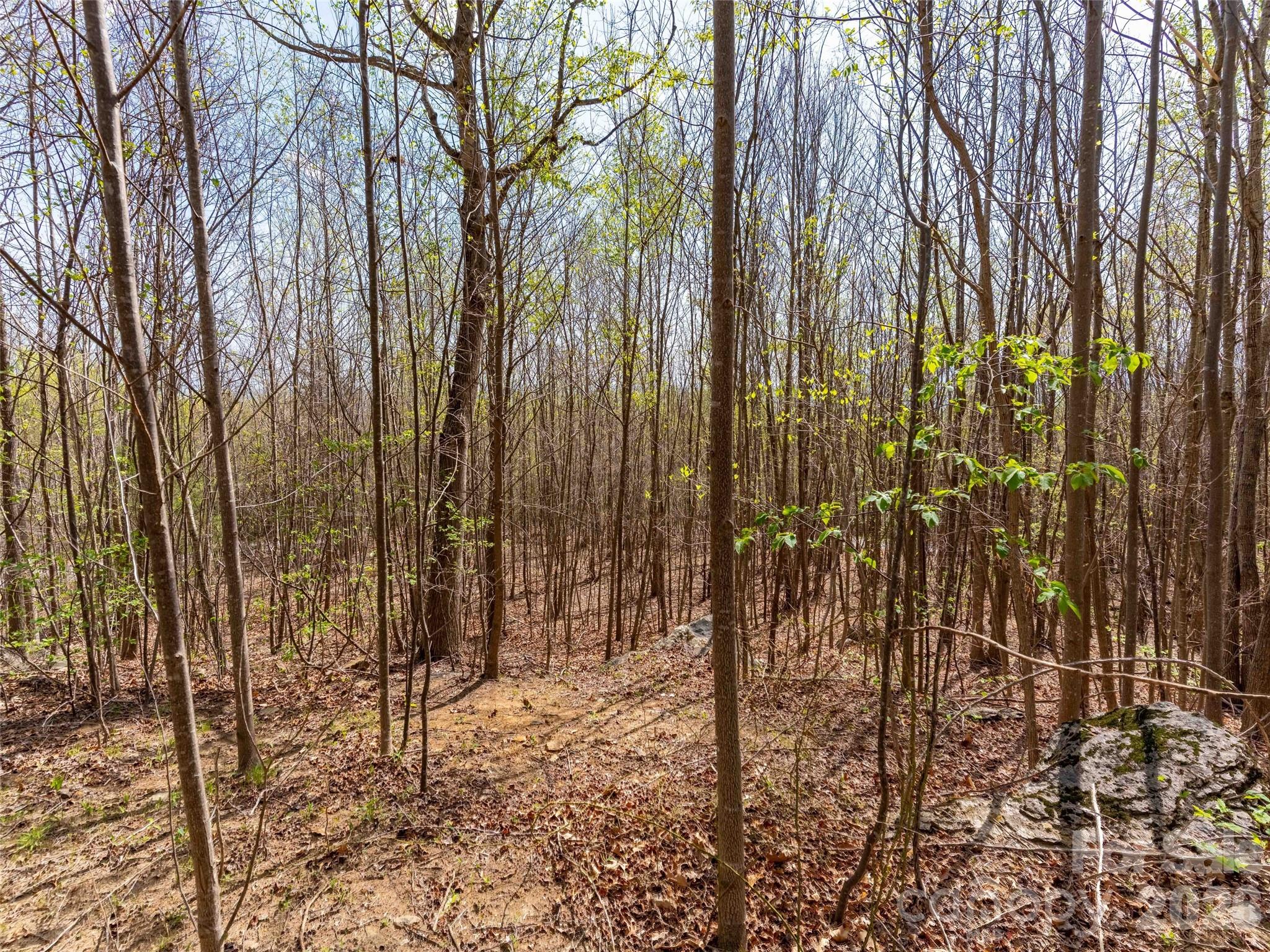Lot 196 Cherry Hill 196 Property Photo 8