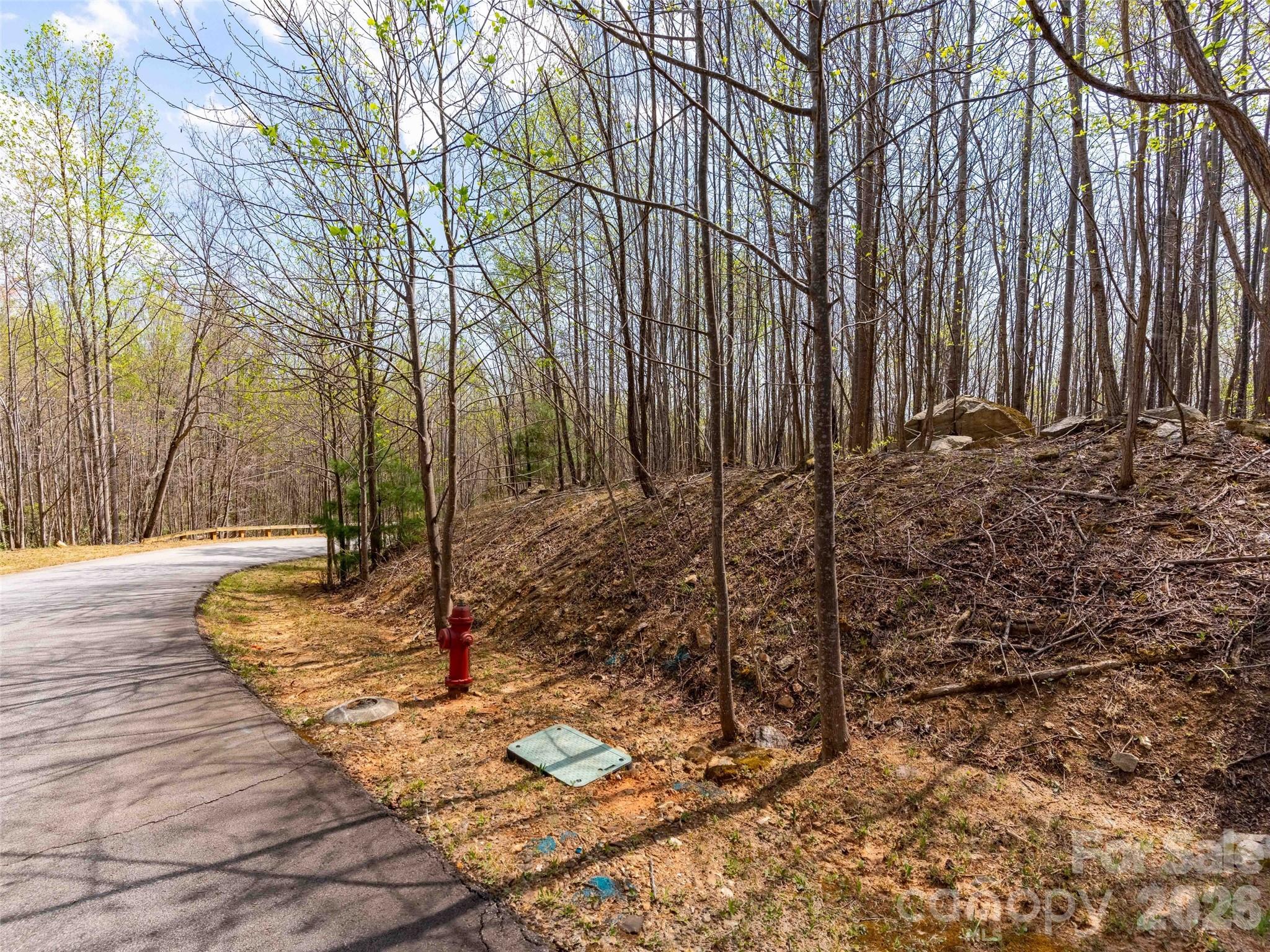 Lot 196 Cherry Hill 196 Property Photo 9