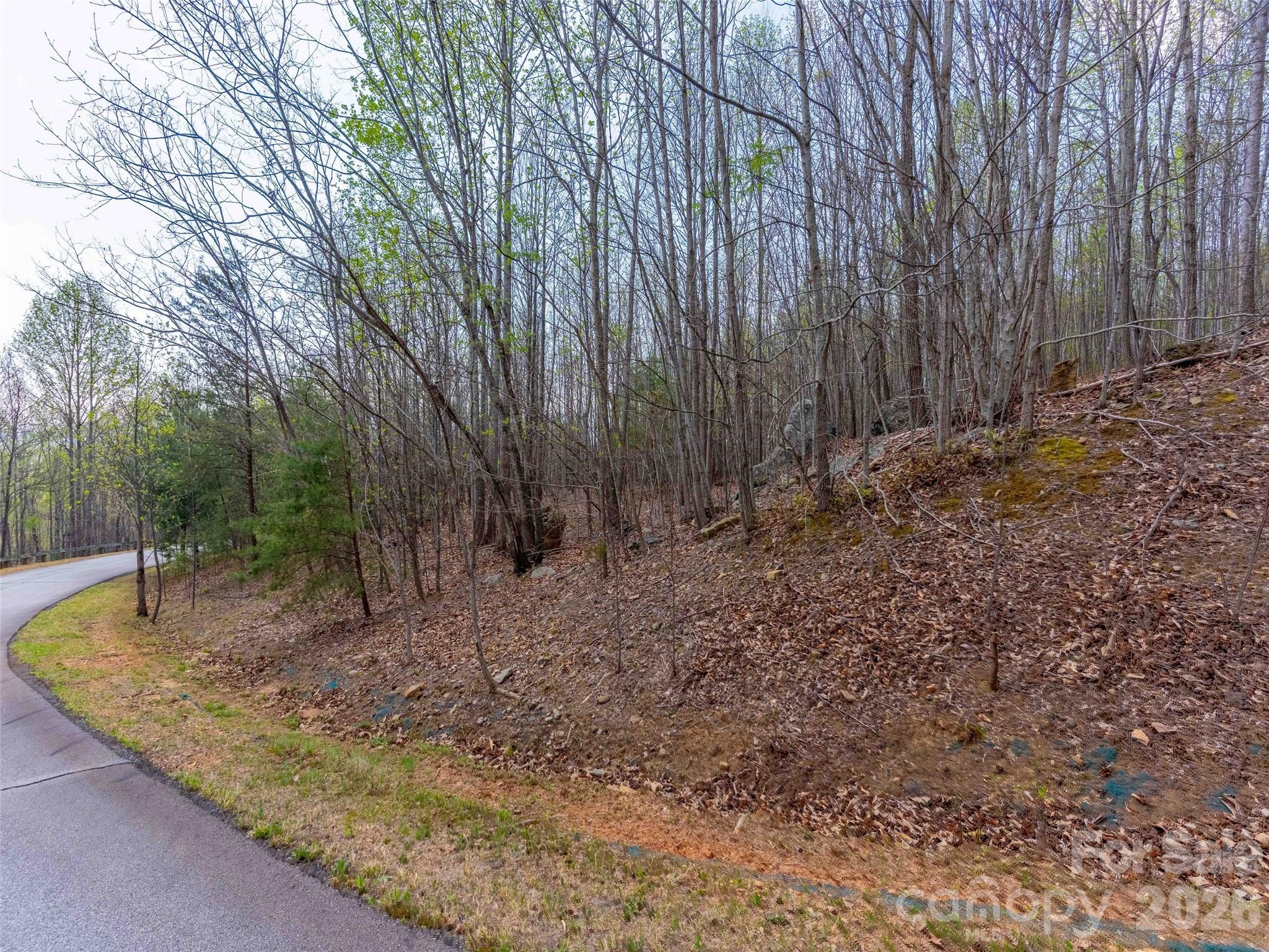 Lot 196 Cherry Hill 196 Property Photo 10