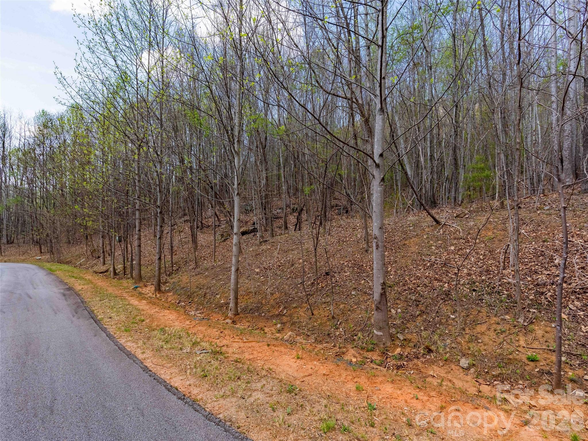 Lot 196 Cherry Hill 196 Property Photo 11
