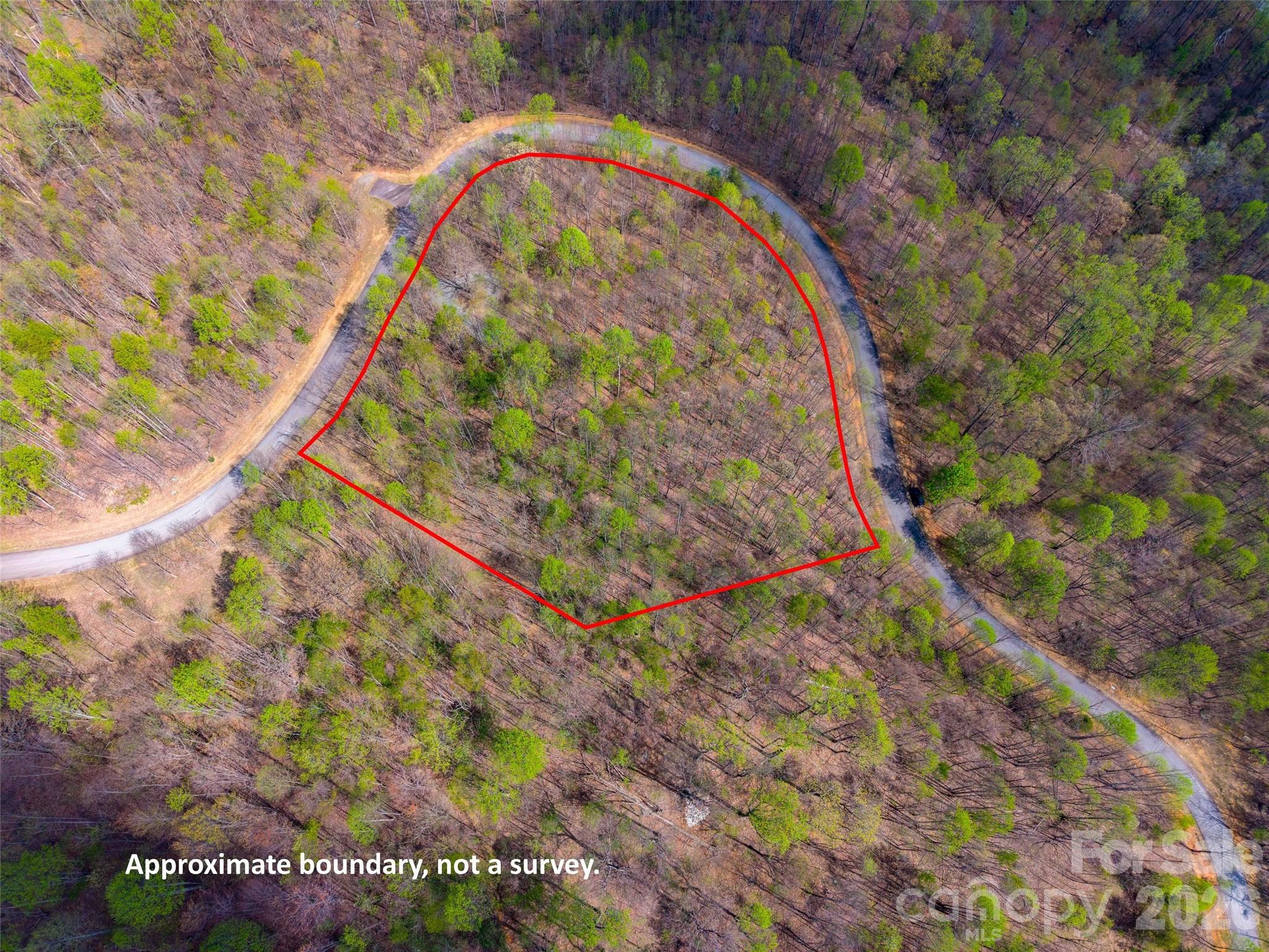 Lot 196 Cherry Hill 196 Property Photo 12
