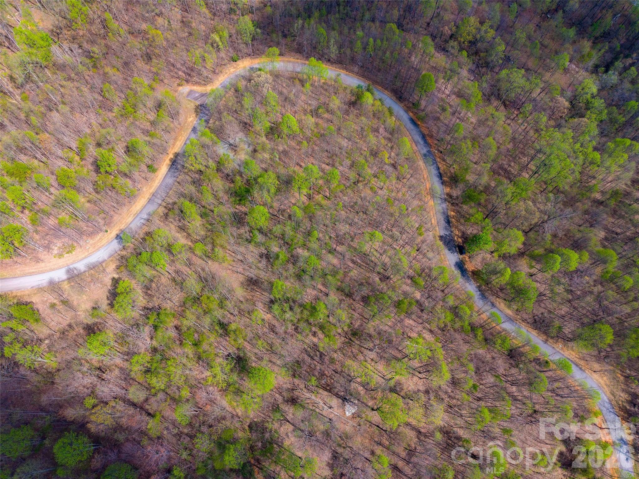 Lot 196 Cherry Hill 196 Property Photo 13