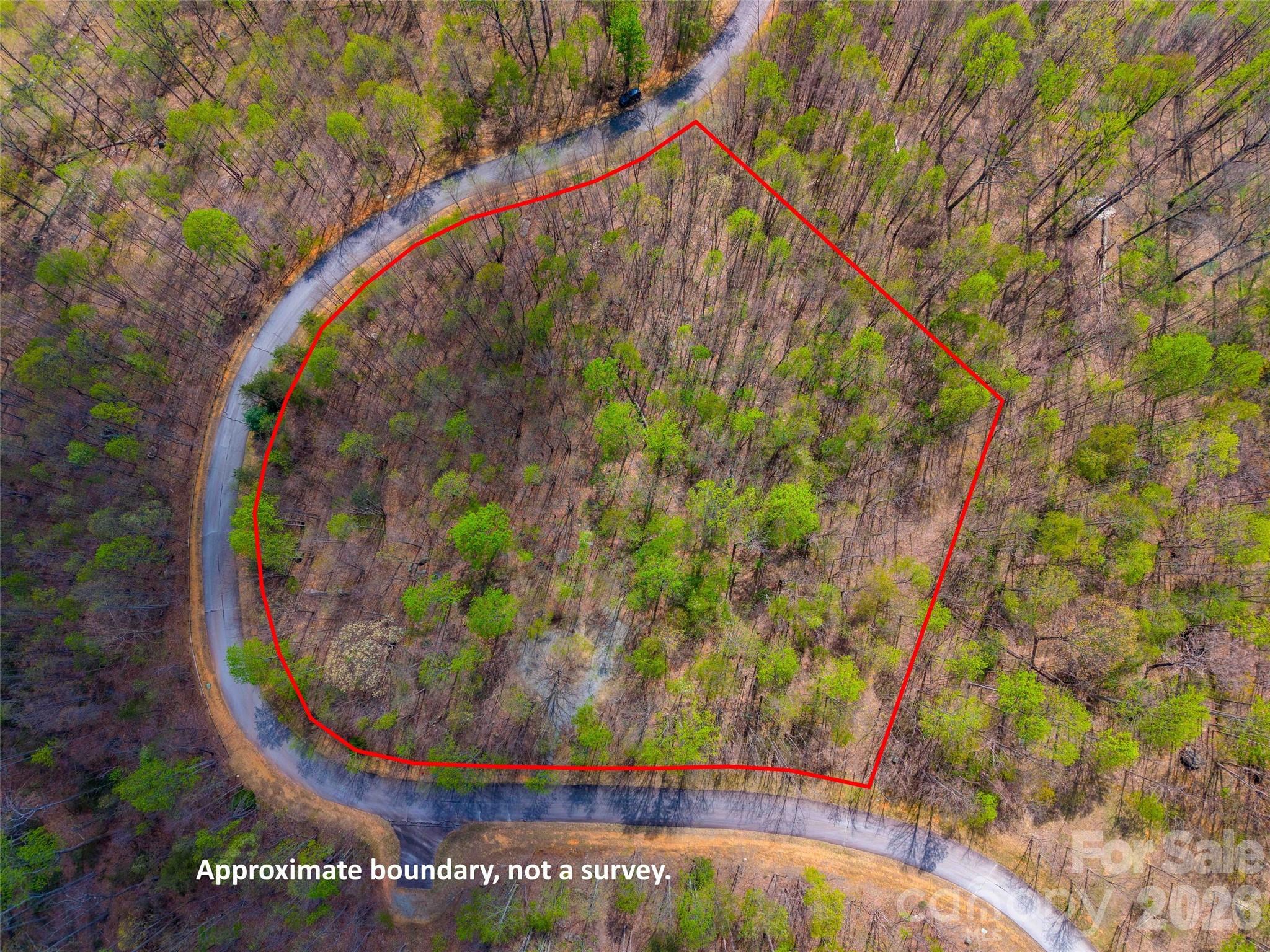 Lot 196 Cherry Hill 196 Property Photo 14