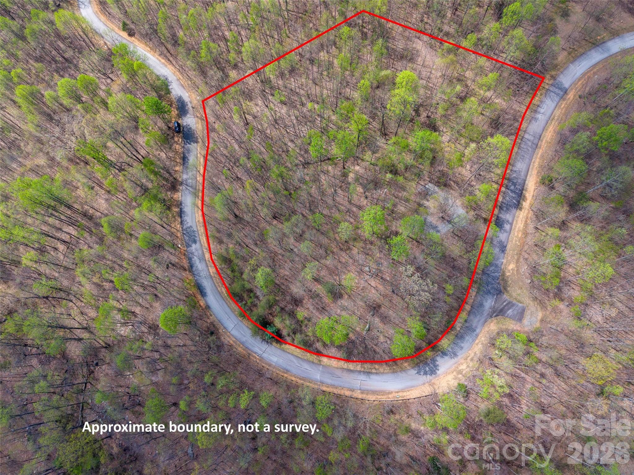 Lot 196 Cherry Hill 196 Property Photo 16