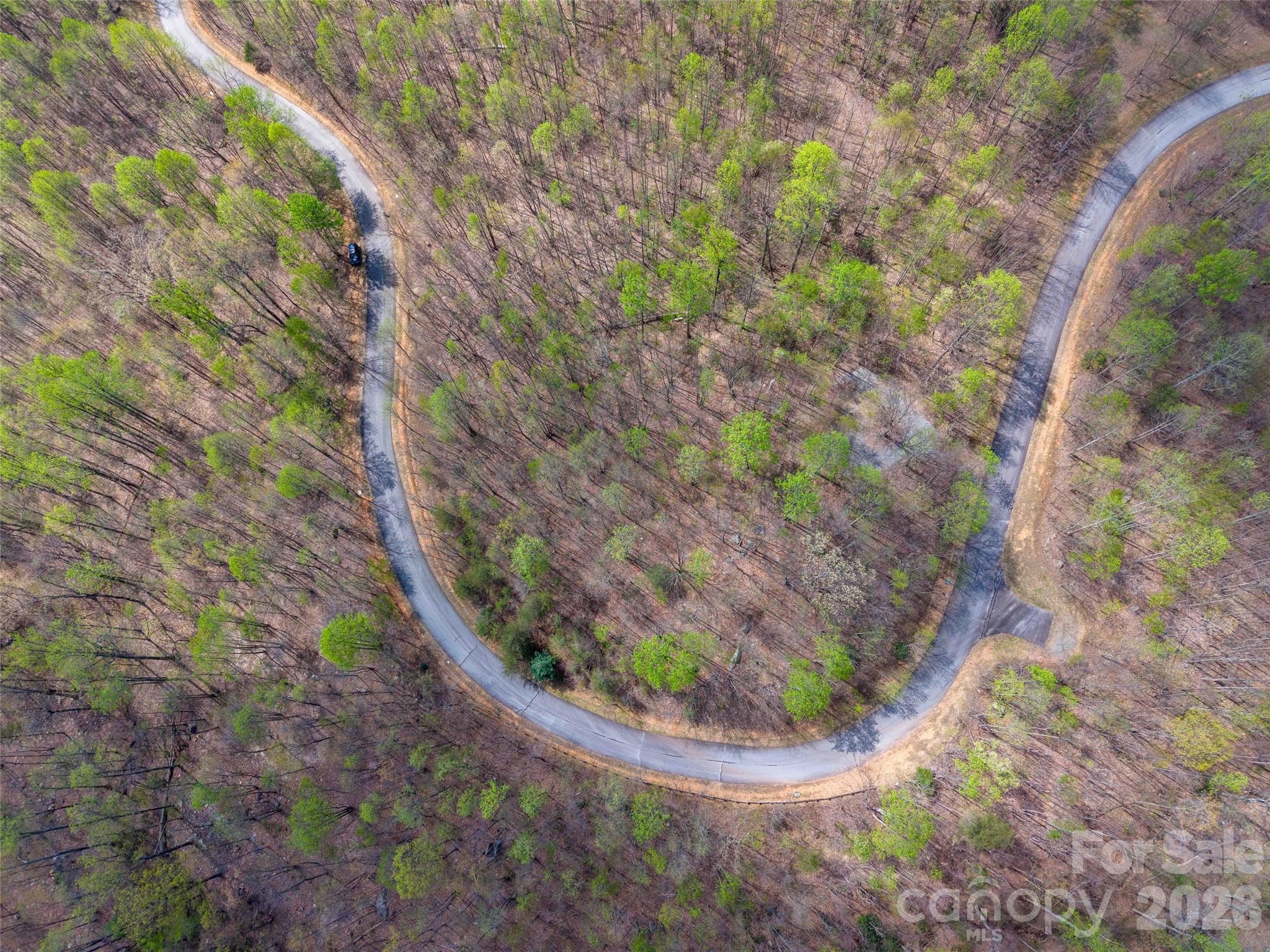 Lot 196 Cherry Hill 196 Property Photo 17