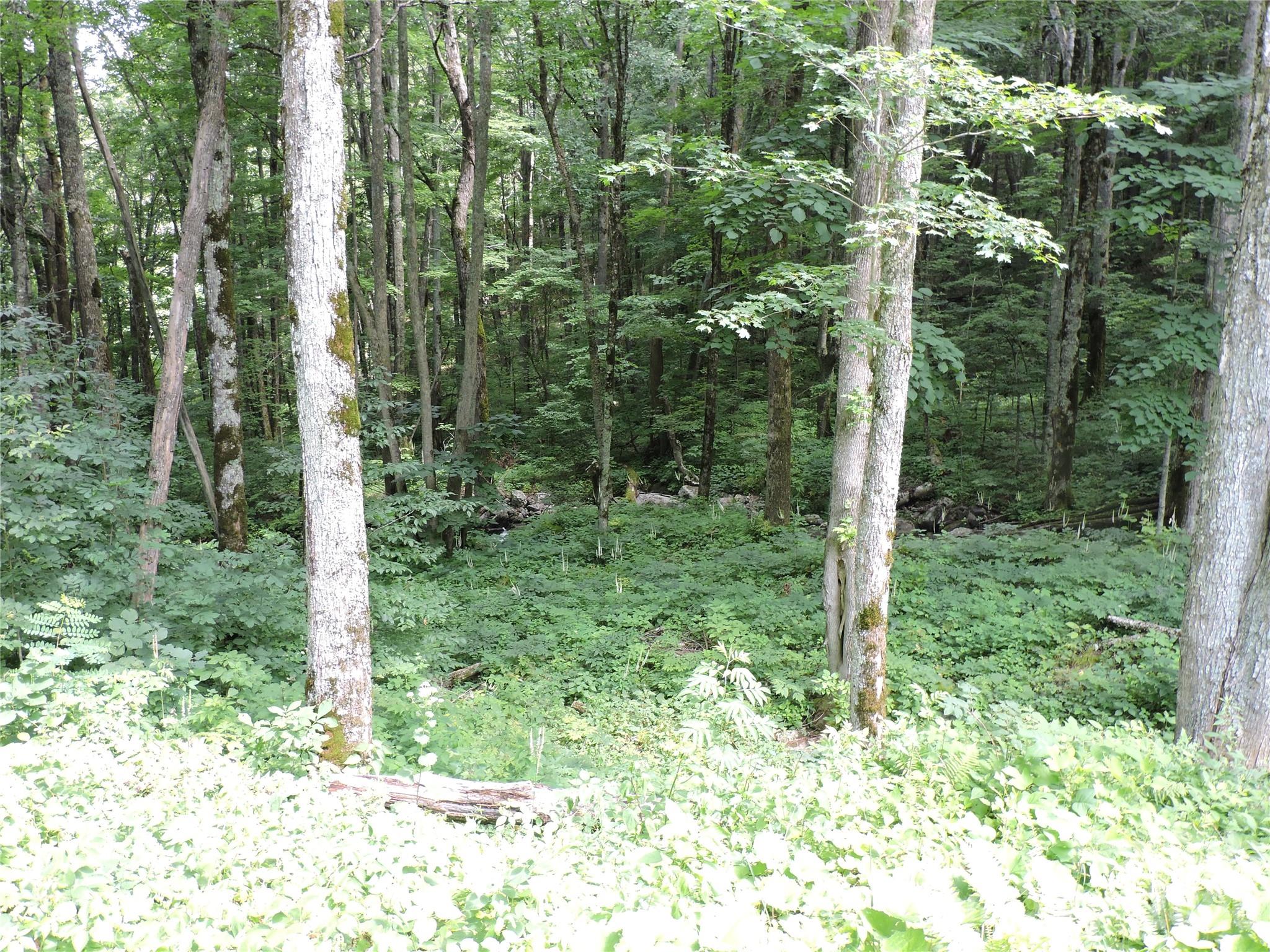 103 Chucks Lane Property Photo 42