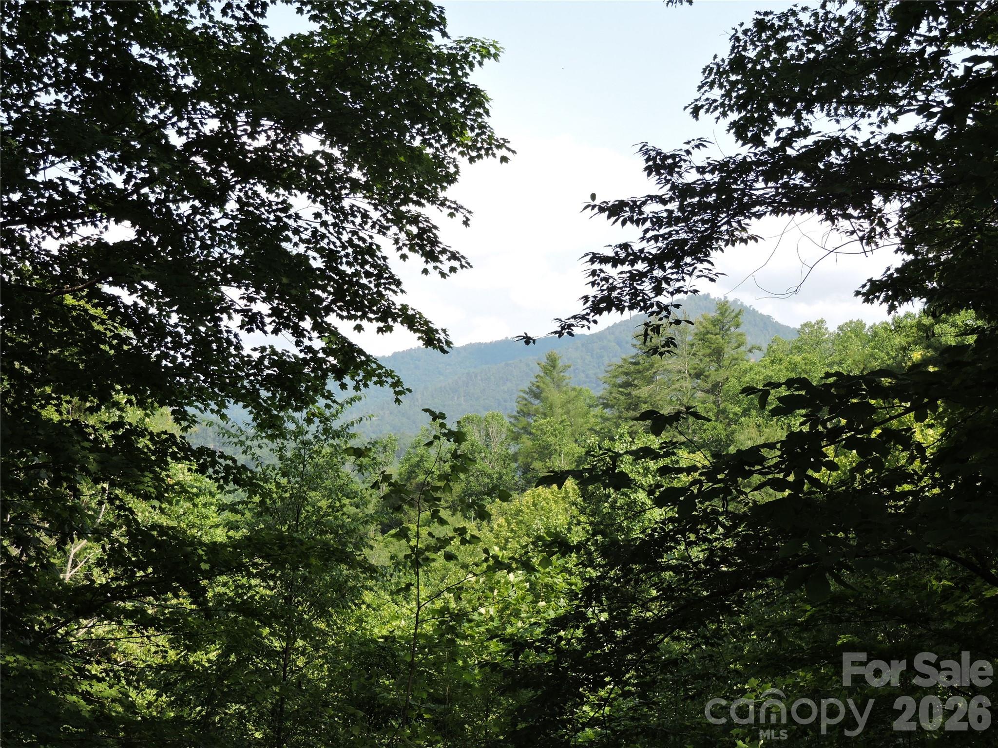 103 Chucks Lane Property Photo 45