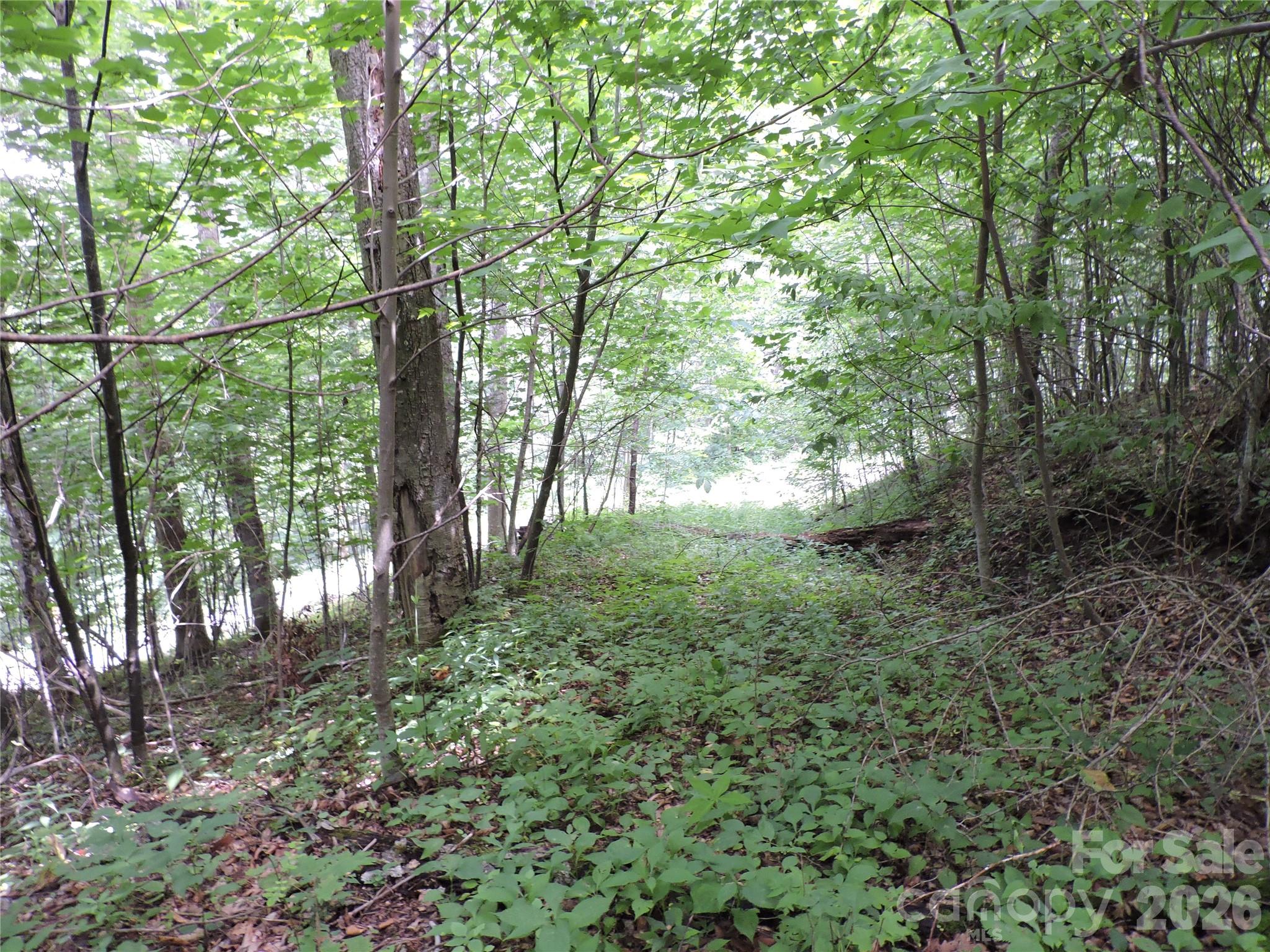 103 Chucks Lane Property Photo 46