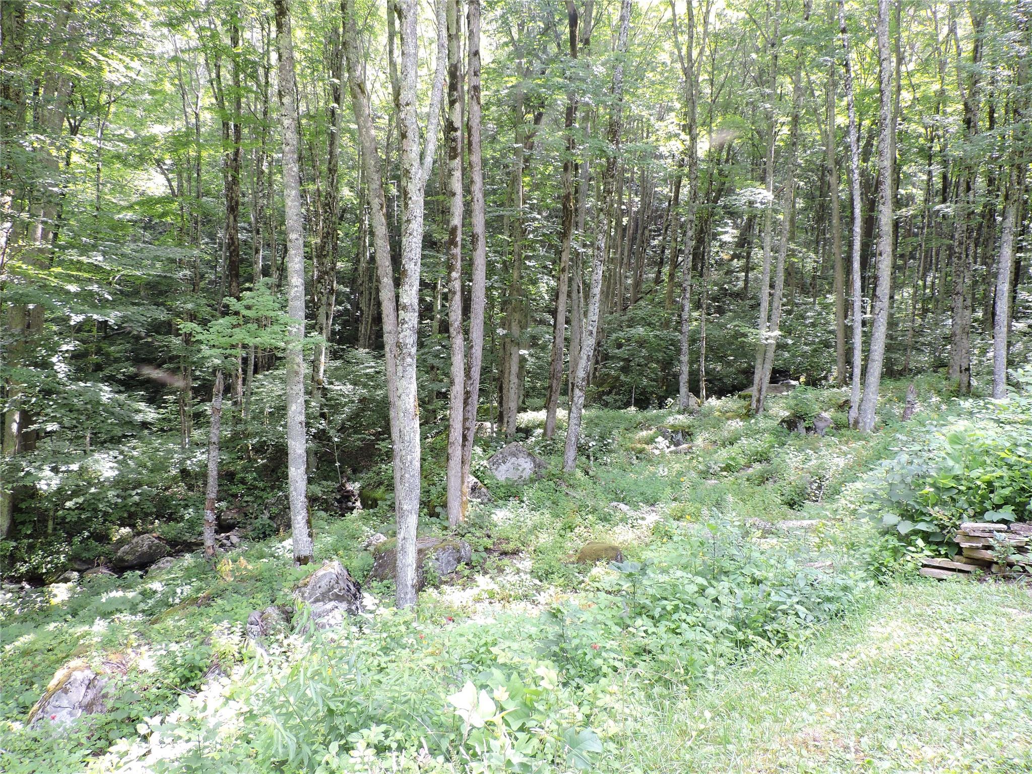 103 Chucks Lane Property Photo 48