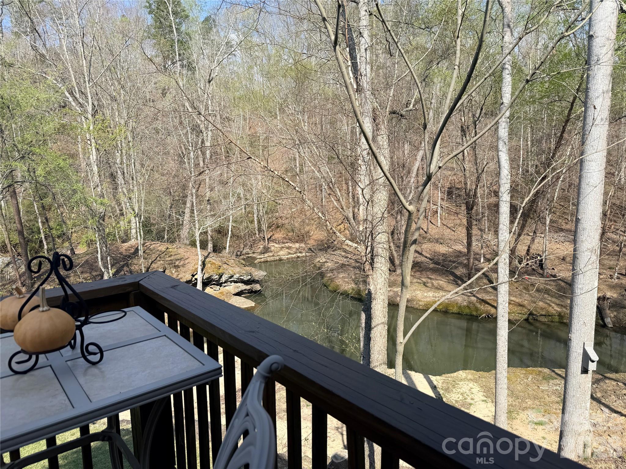 3695 Nc 9 Highway Property Photo 12