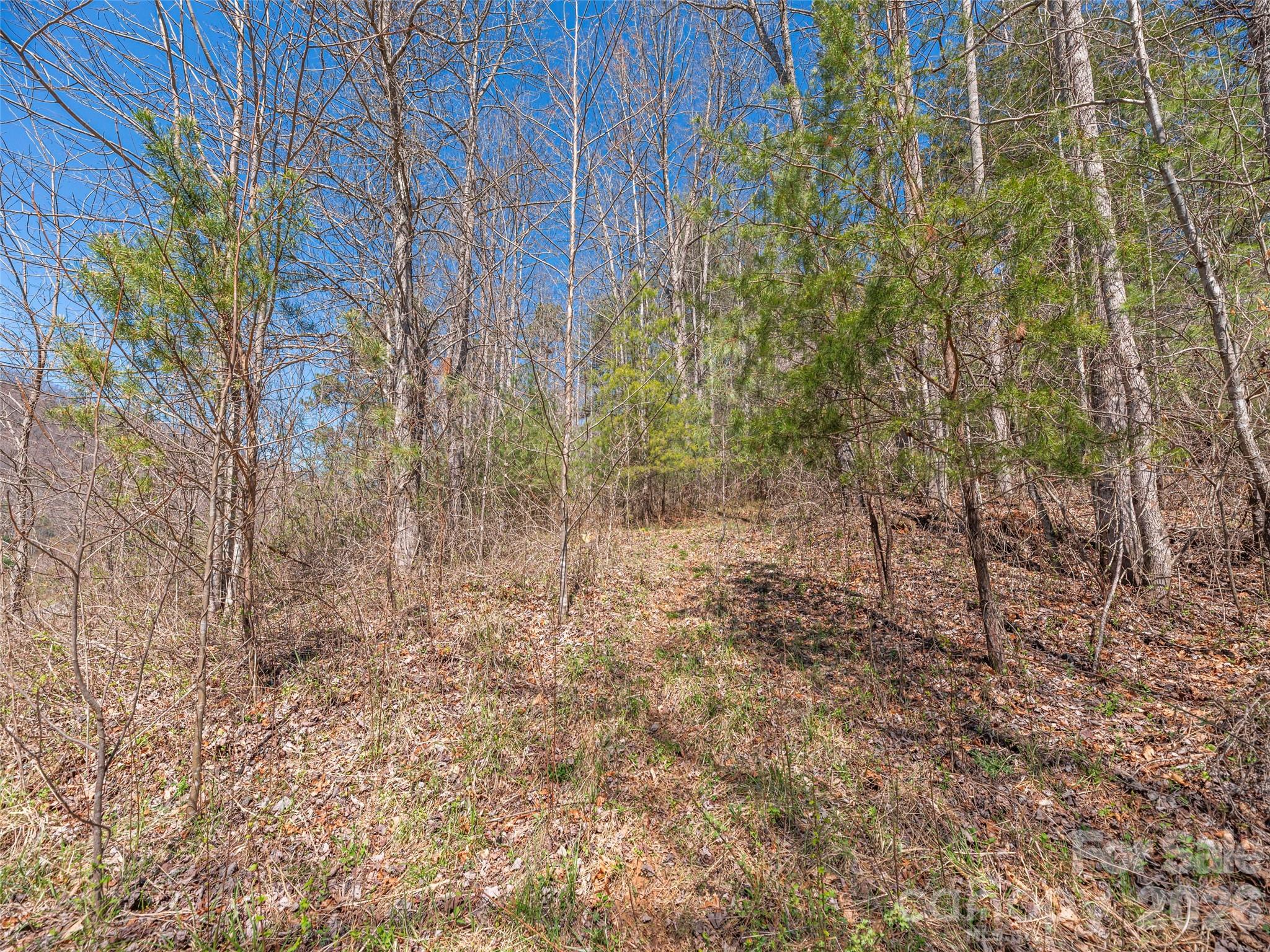 00 Worley Cove Road Property Photo 7