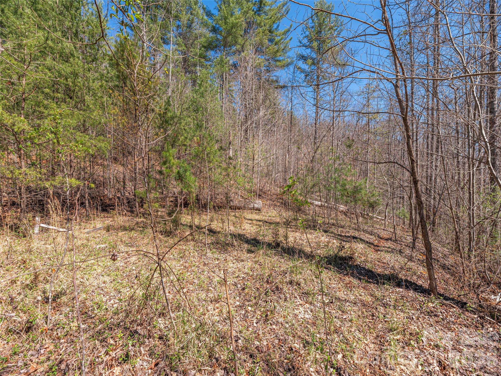 00 Worley Cove Road Property Photo 8