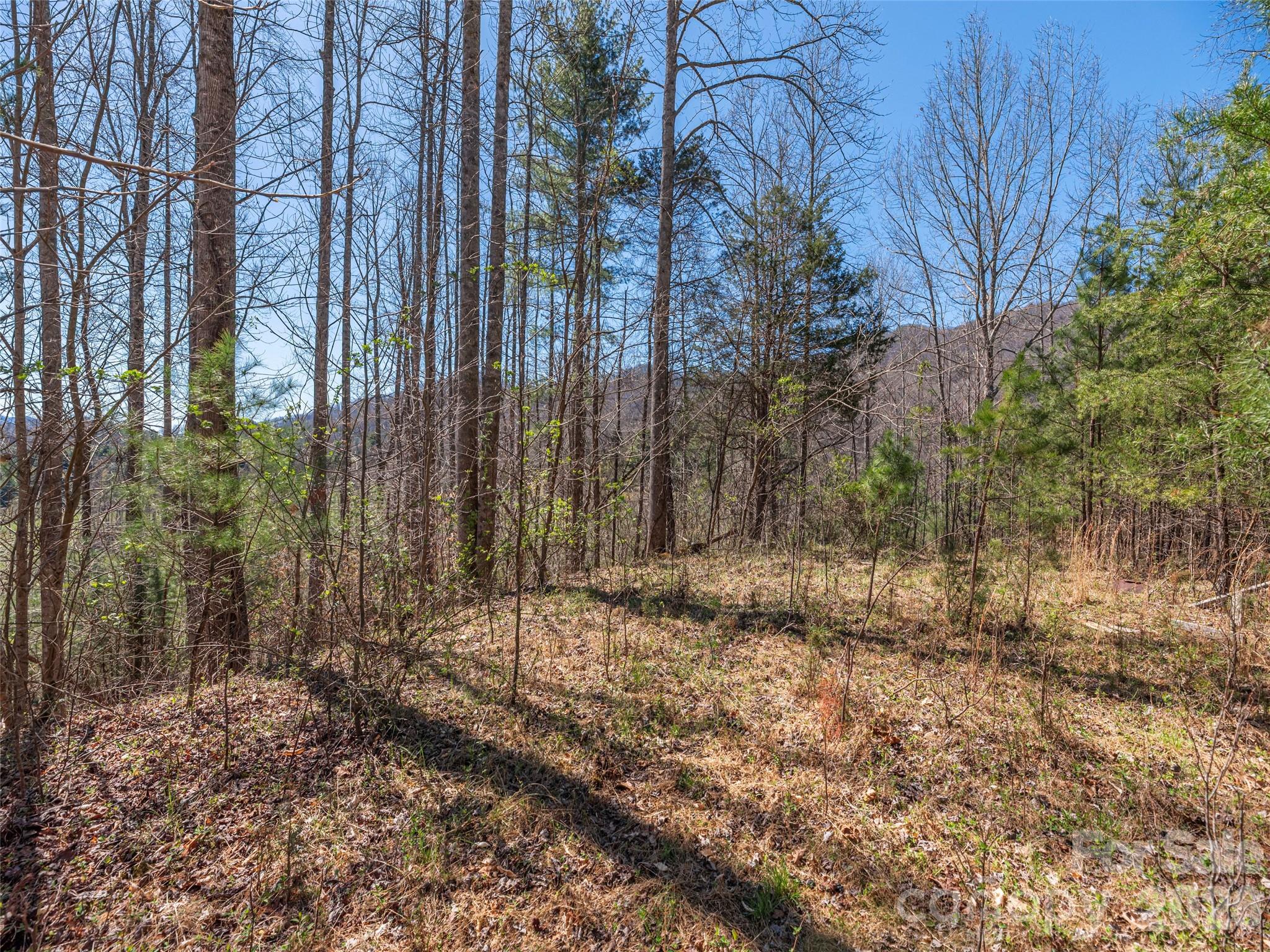 00 Worley Cove Road Property Photo 9