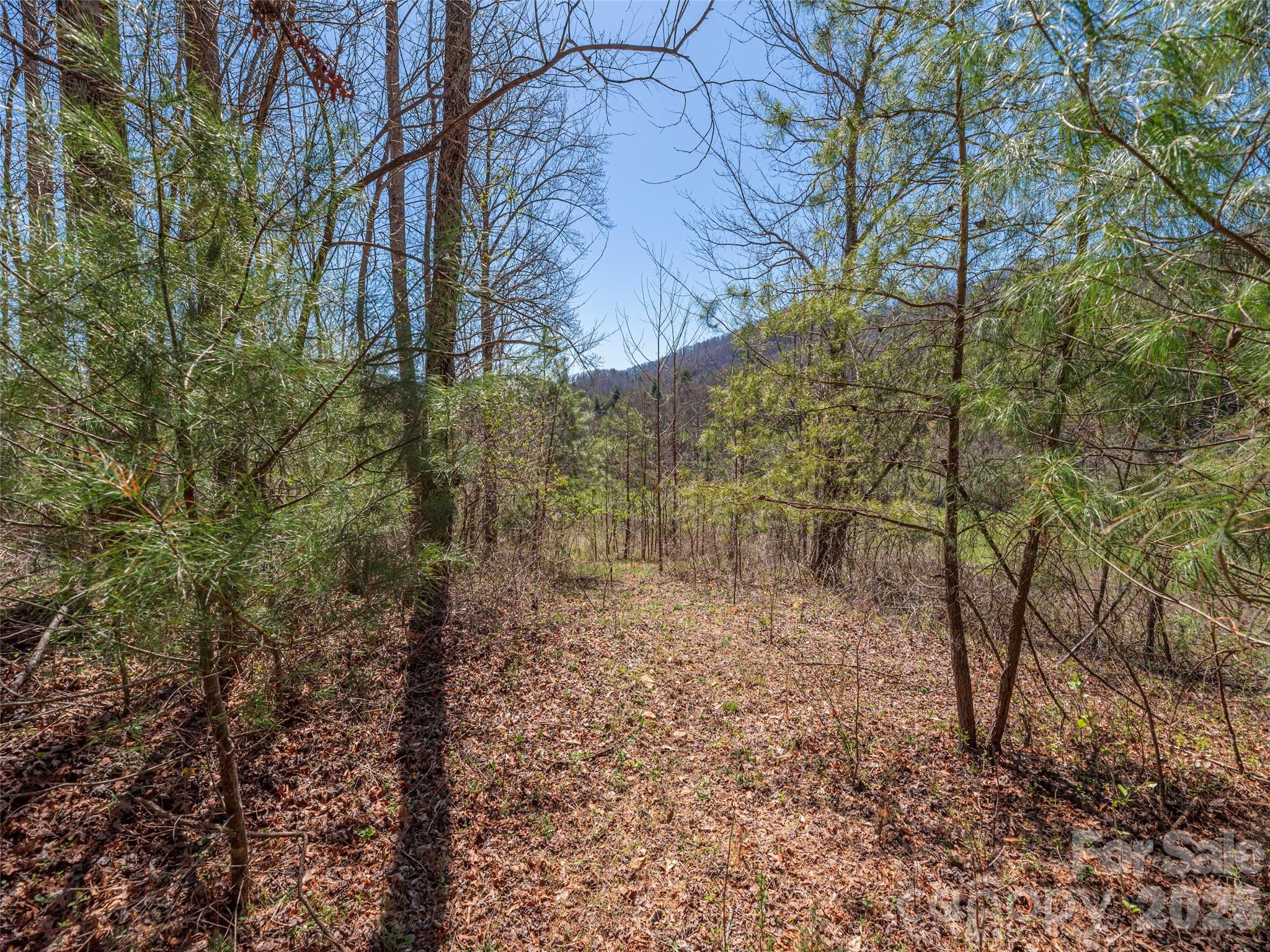 00 Worley Cove Road Property Photo 10