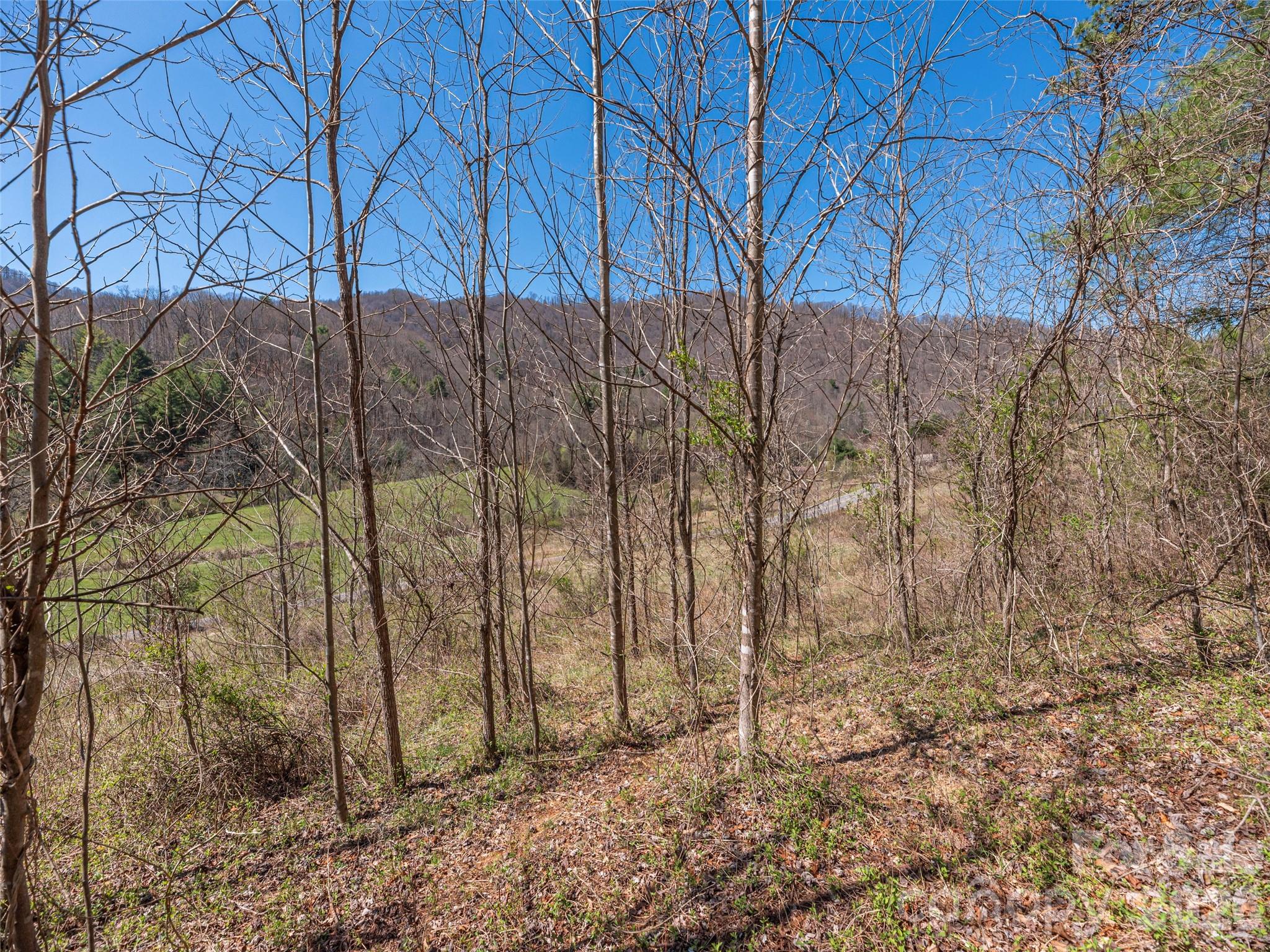 00 Worley Cove Road Property Photo 11