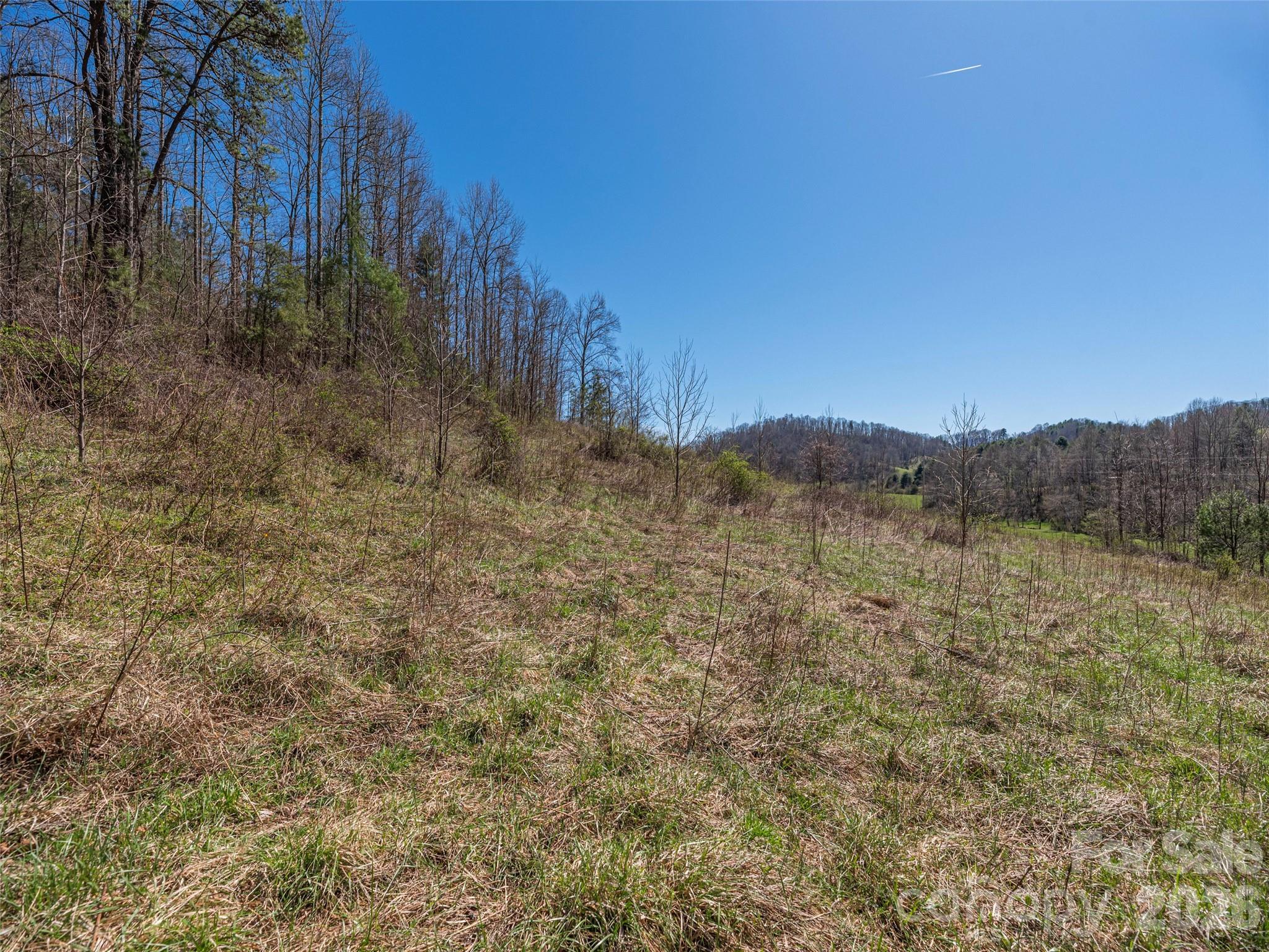 00 Worley Cove Road Property Photo 13