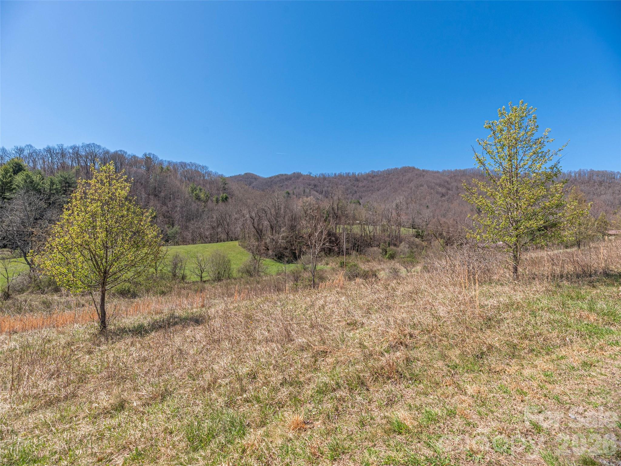 00 Worley Cove Road Property Photo 17
