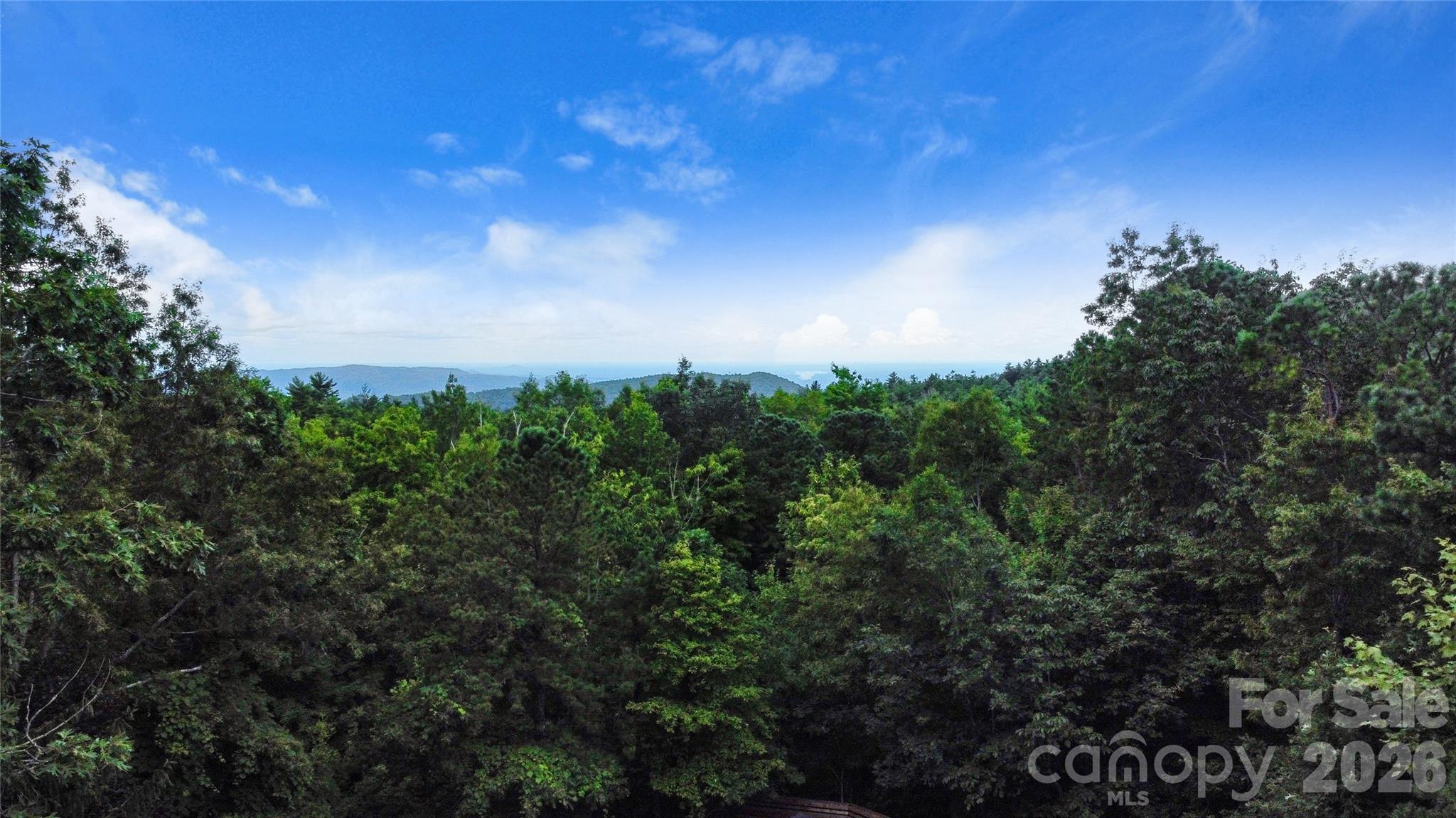 121 Toxaway Views Drive 503 Property Photo 40