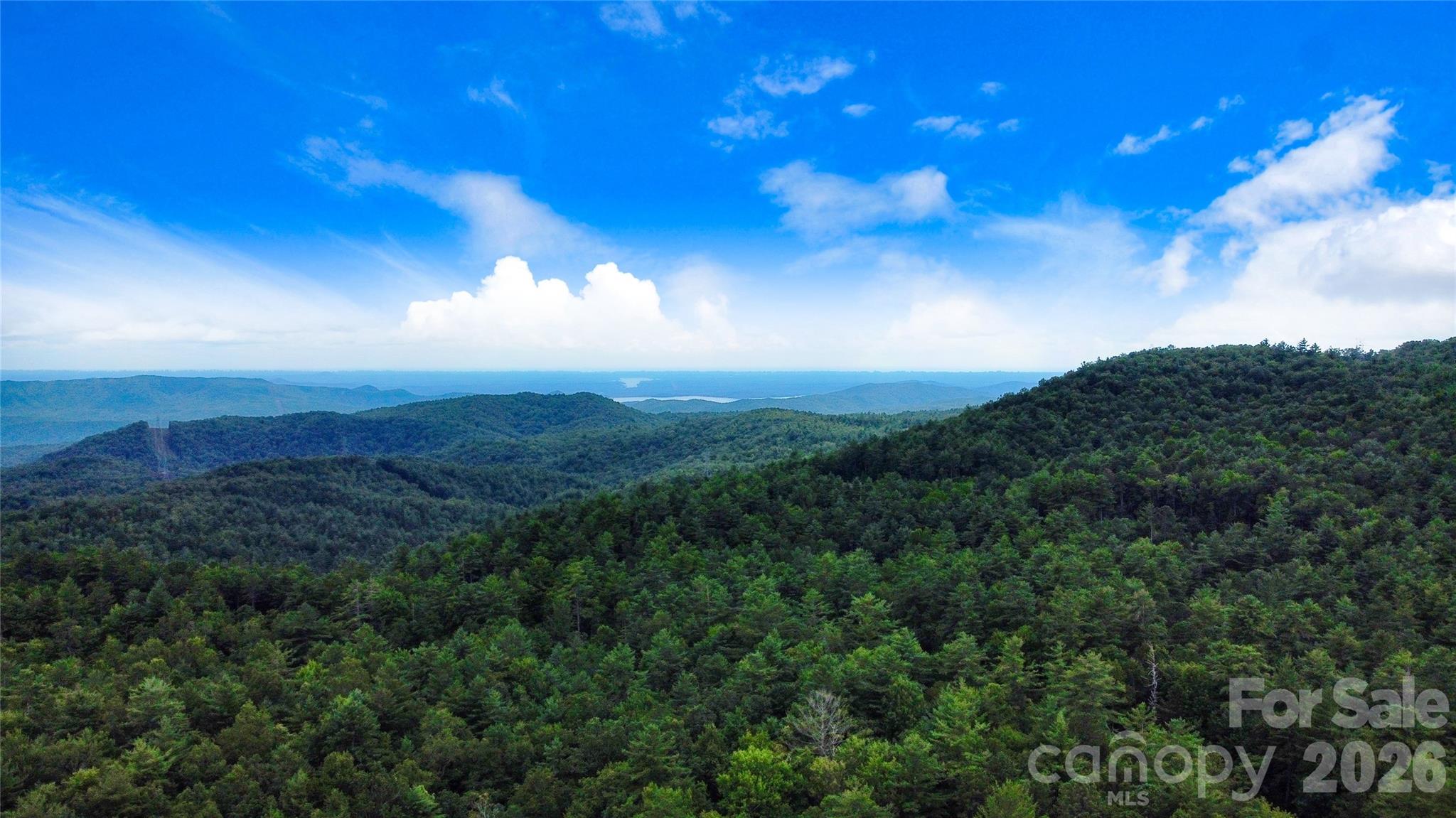 121 Toxaway Views Drive 503 Property Photo 41