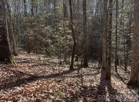0 Twin Maple Way 5 Property Photo 2
