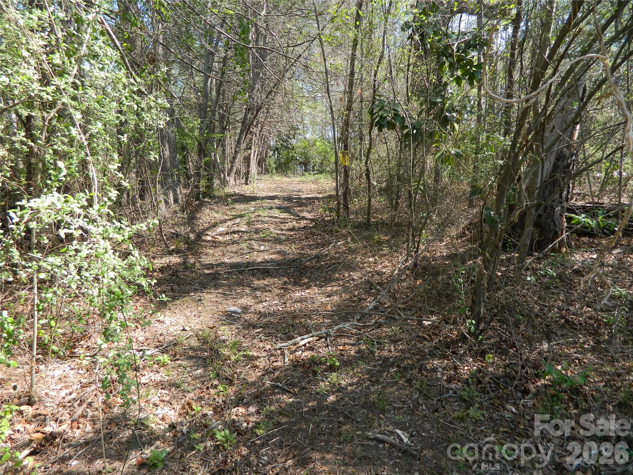 1329 Overlook Drive Property Photo 2