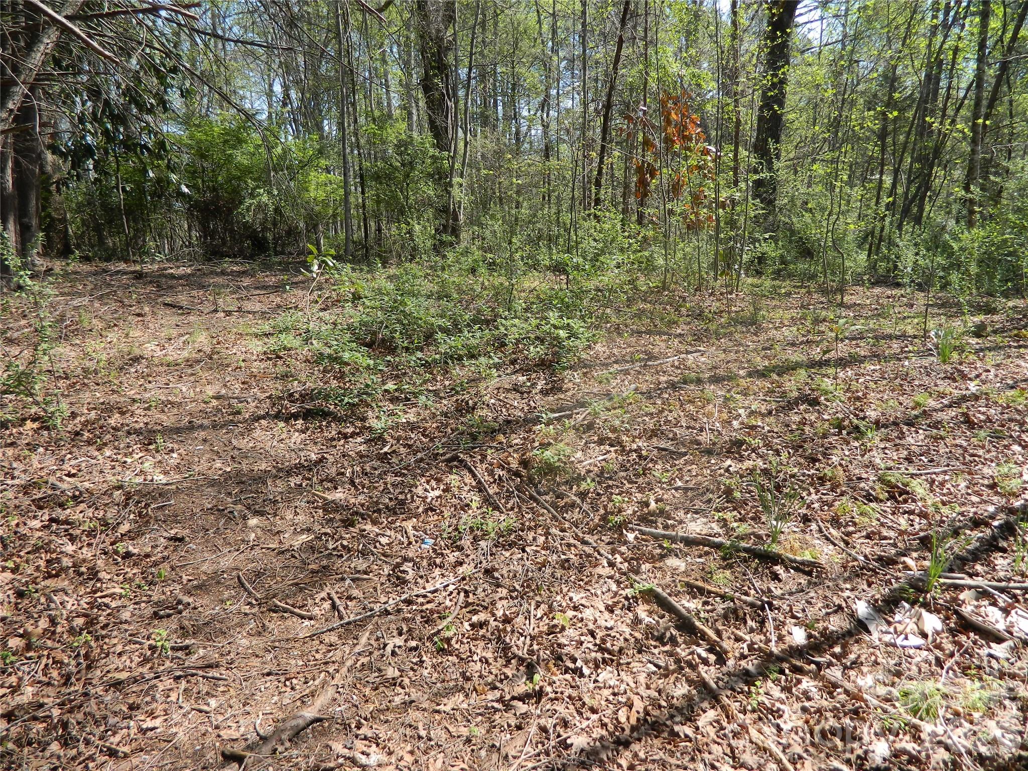 1329 Overlook Drive Property Photo 3