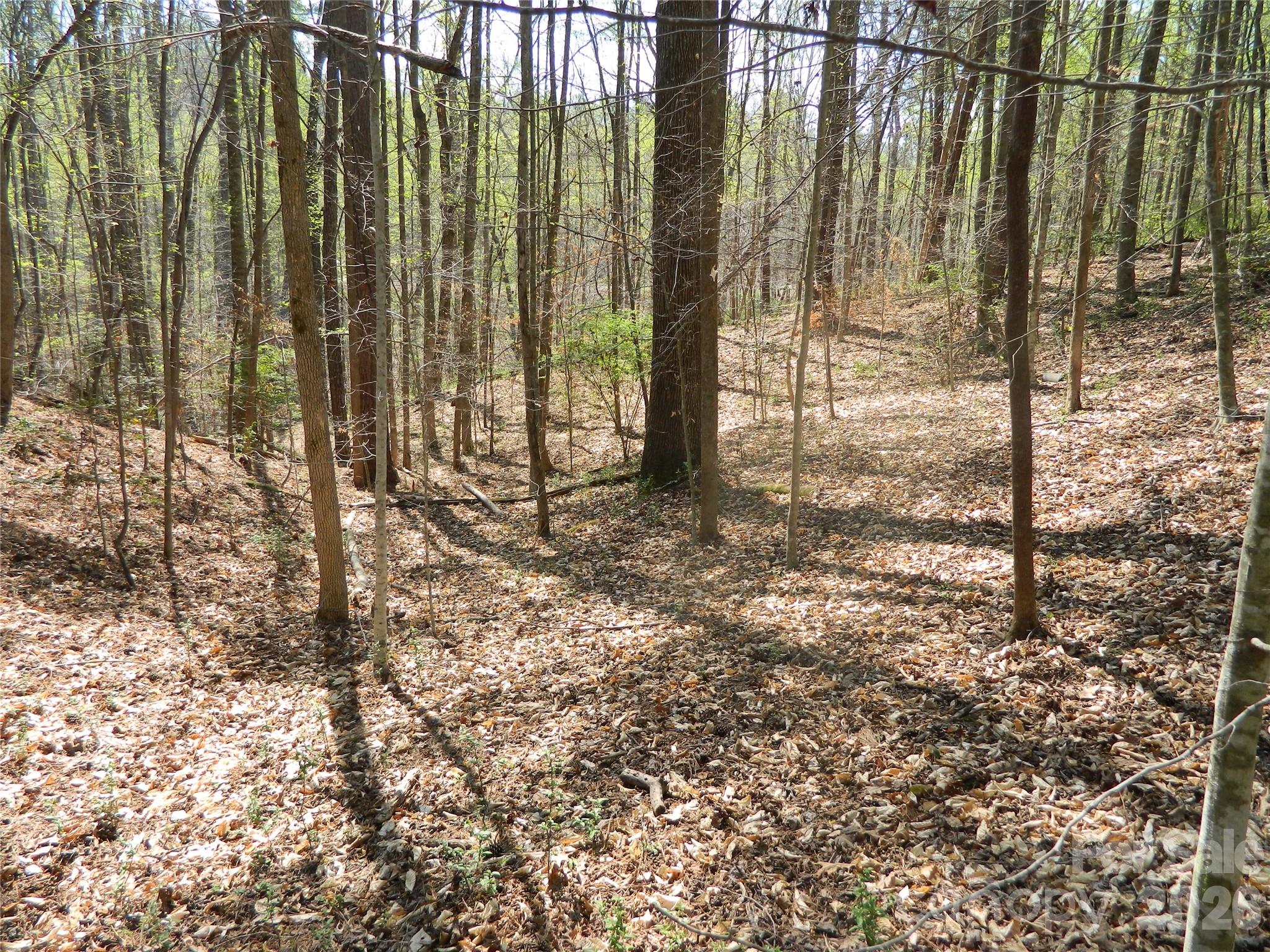 1329 Overlook Drive Property Photo 5