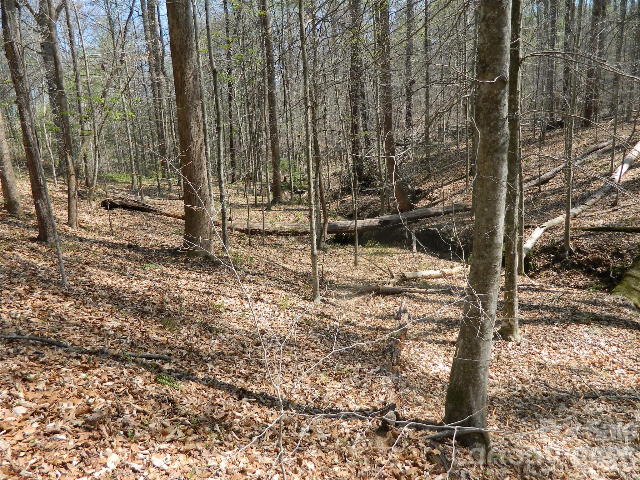 1329 Overlook Drive Property Photo 7