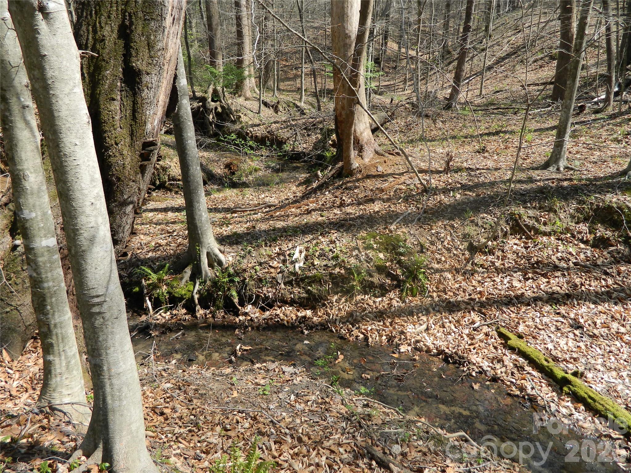 1329 Overlook Drive Property Photo 9