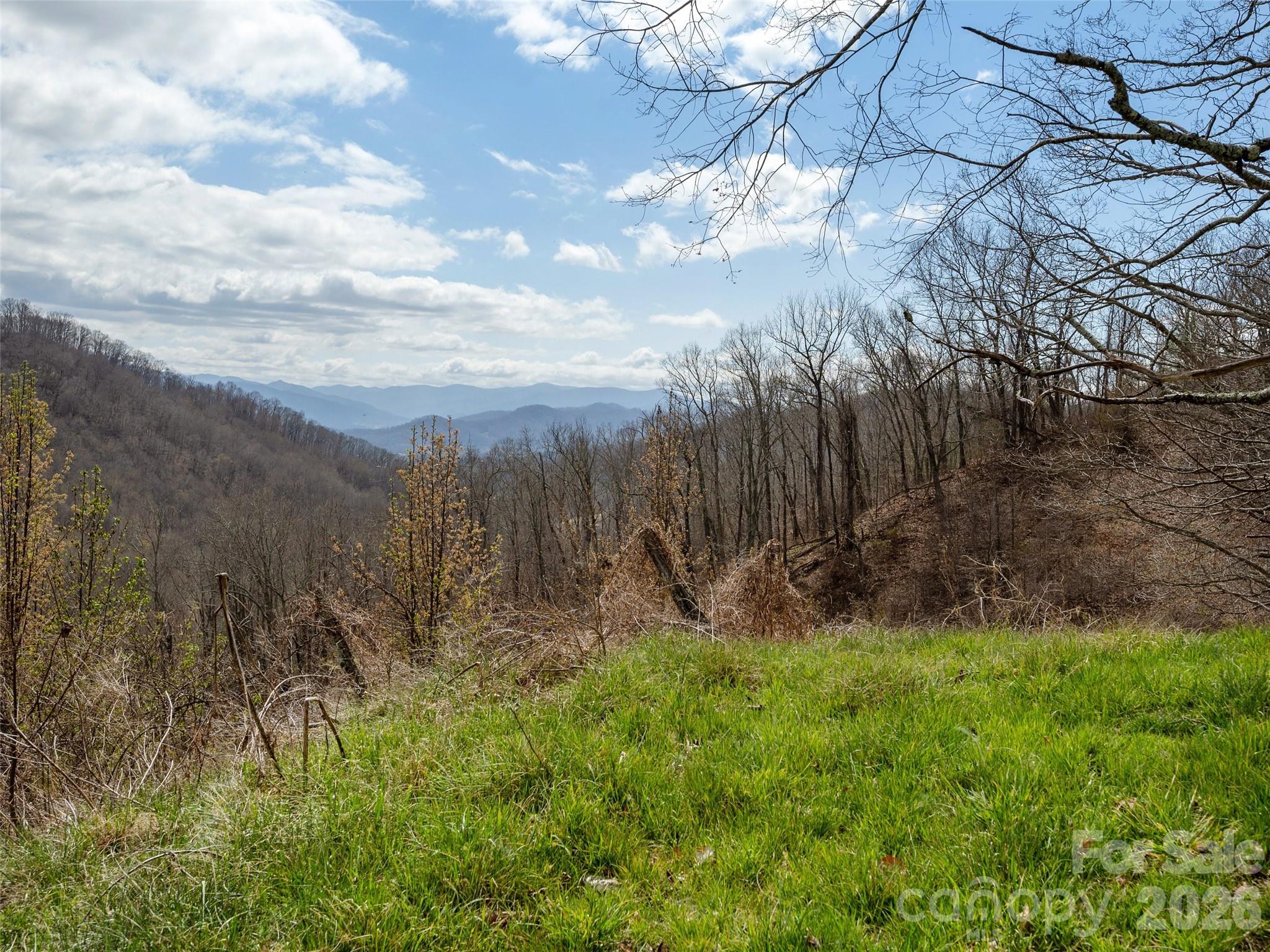 Tbd Wilson Cove Road Property Photo 1
