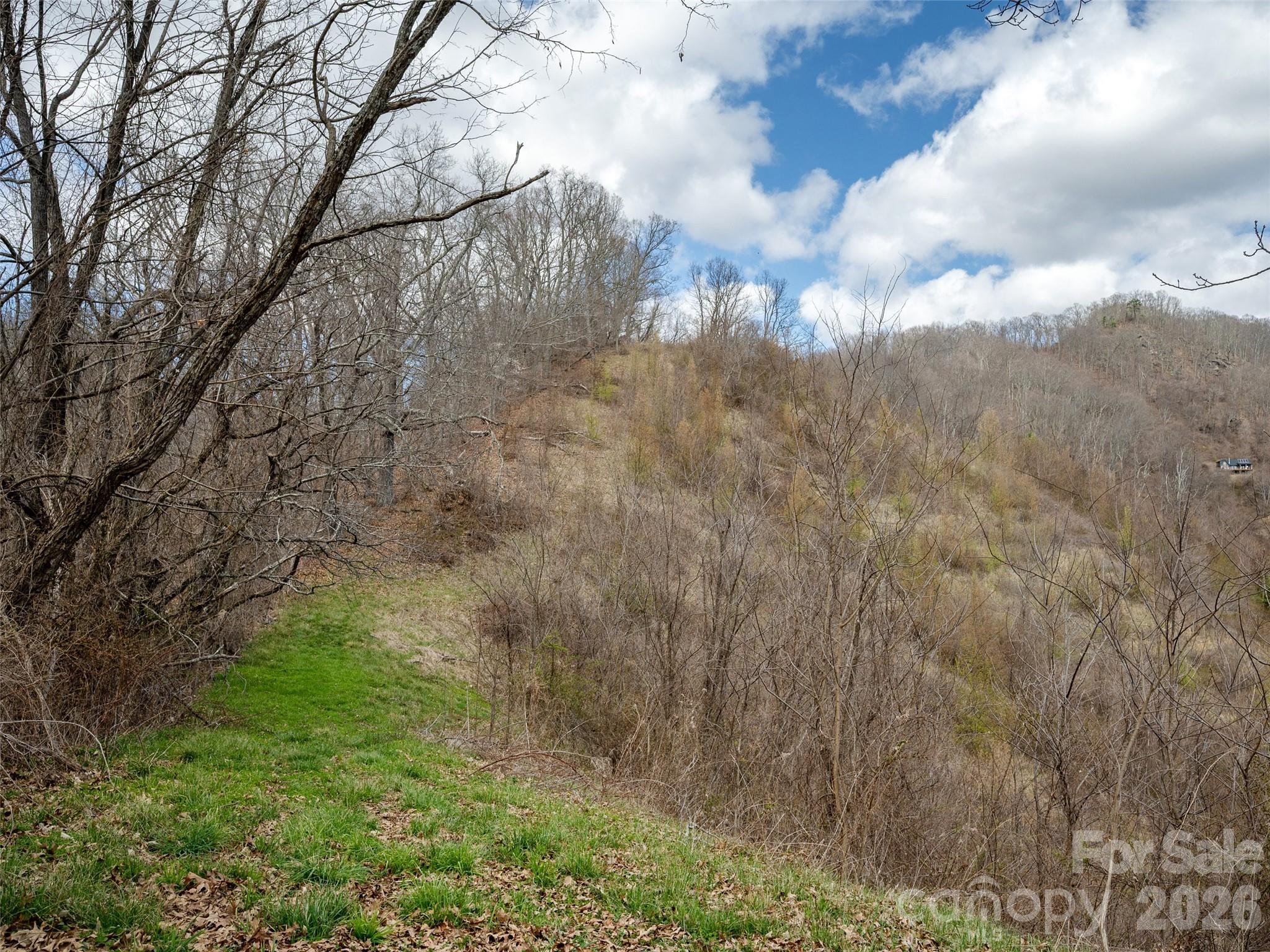 Tbd Wilson Cove Road Property Photo 6