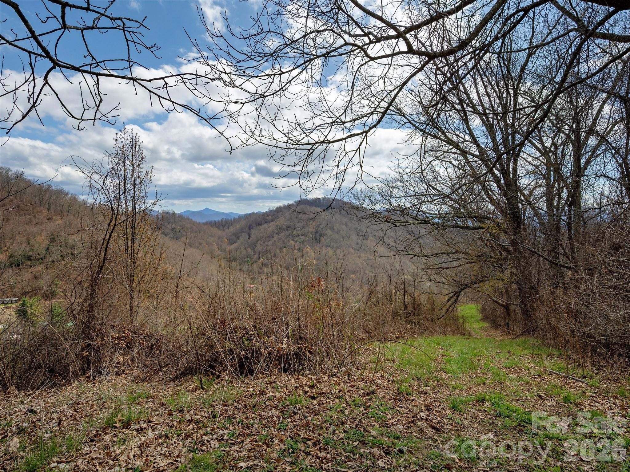 Tbd Wilson Cove Road Property Photo 7