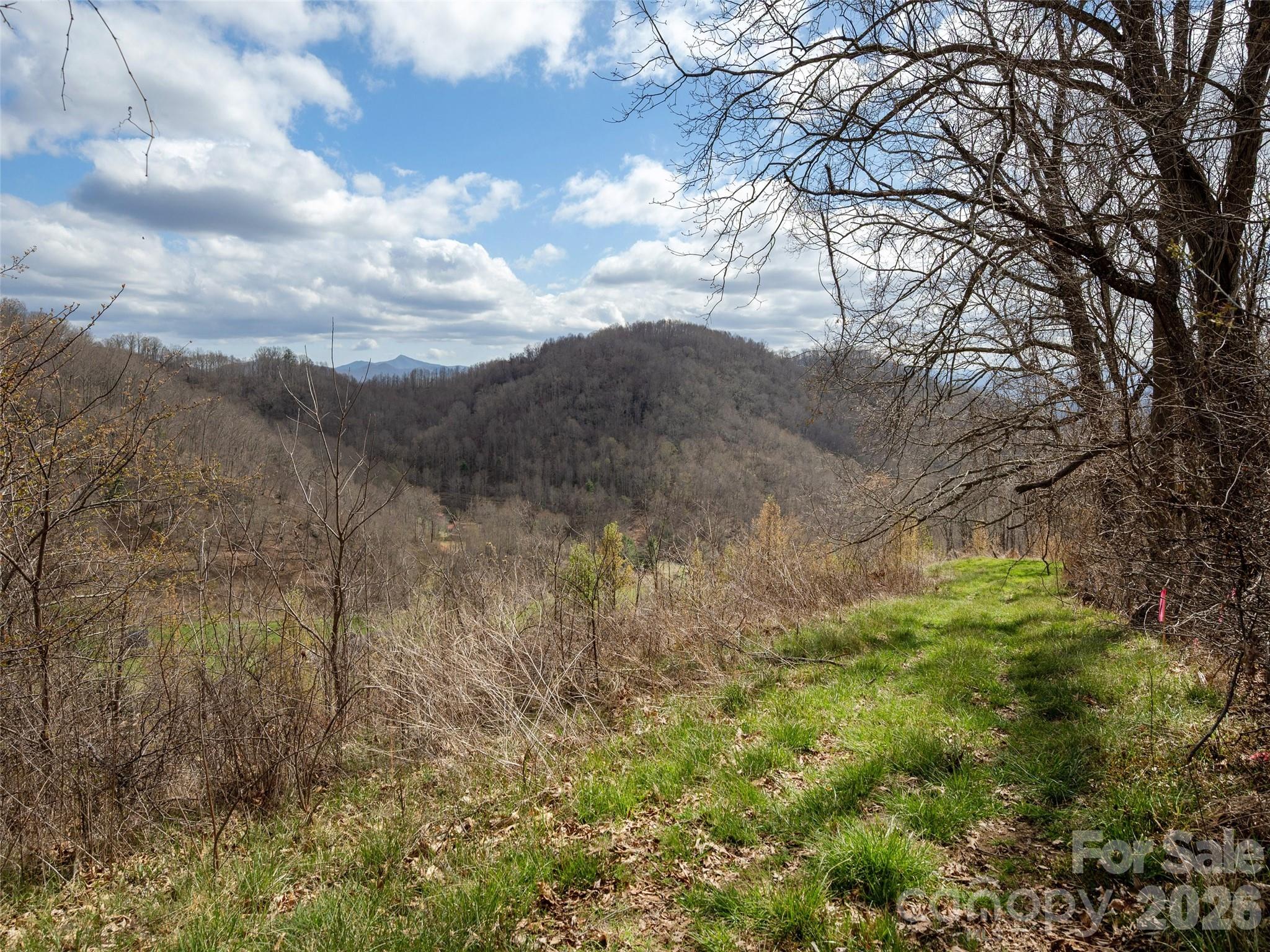 Tbd Wilson Cove Road Property Photo 8