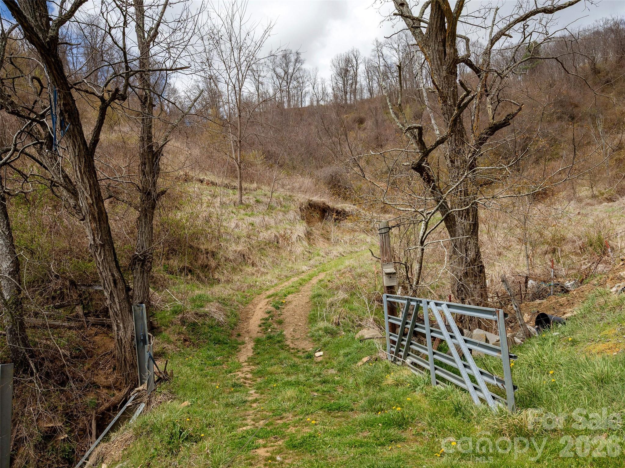 Tbd Wilson Cove Road Property Photo 9