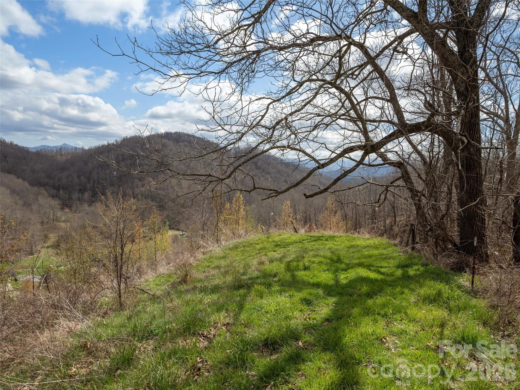 Tbd Wilson Cove Road Property Photo 16