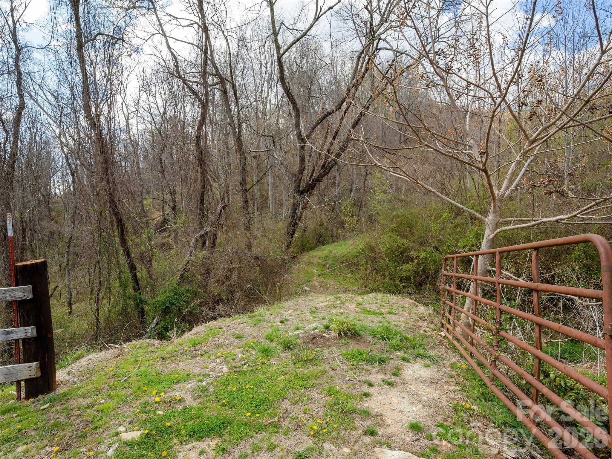 Tbd Wilson Cove Road Property Photo 17