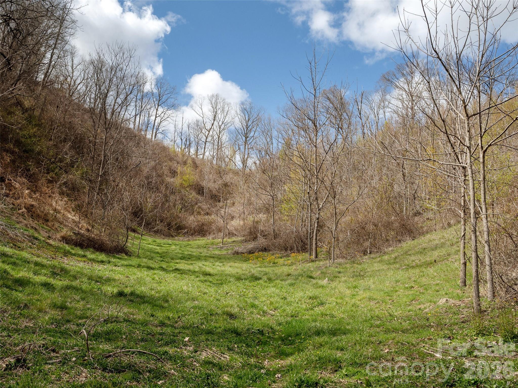 Tbd Wilson Cove Road Property Photo 18