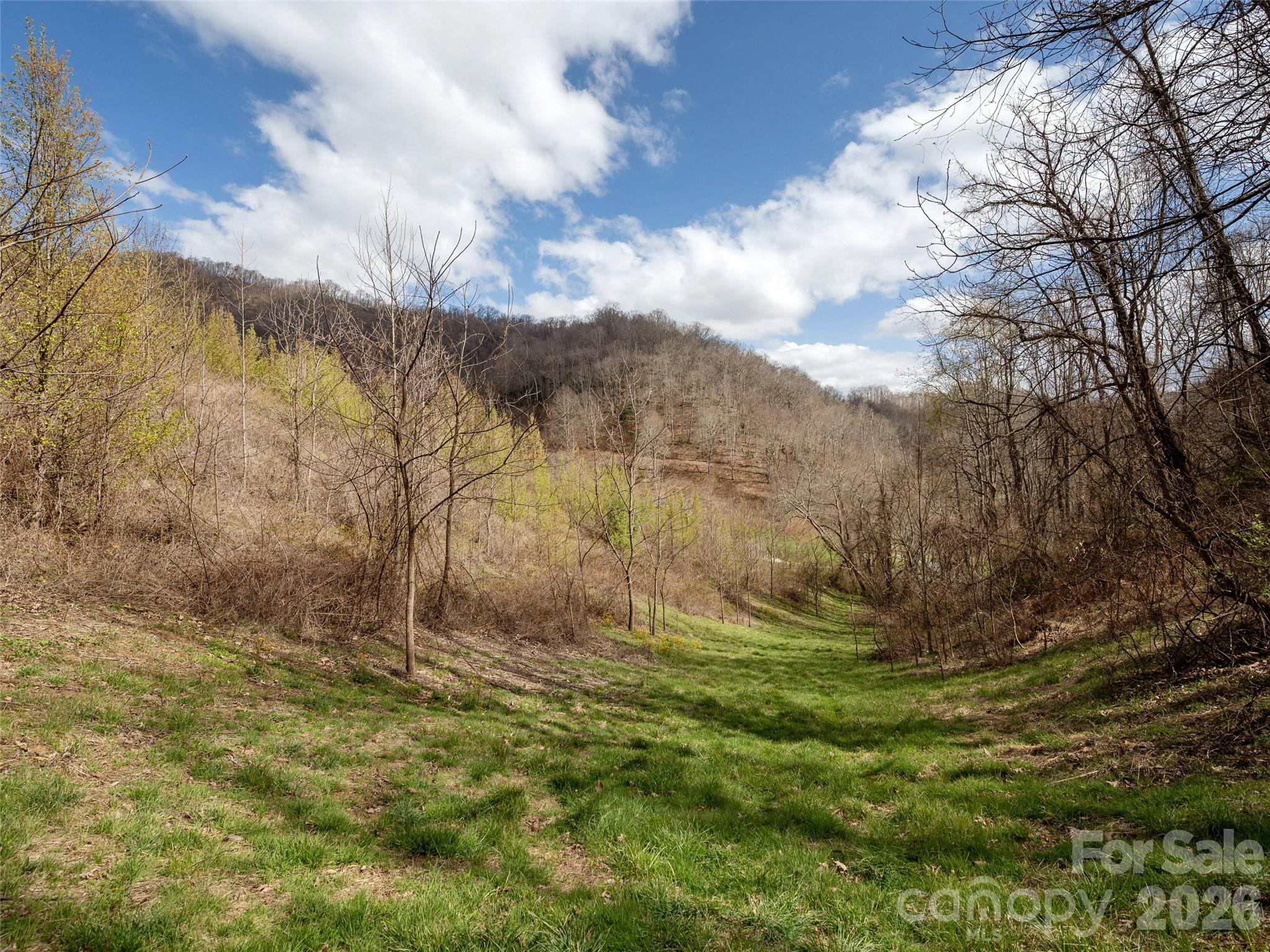 Tbd Wilson Cove Road Property Photo 19