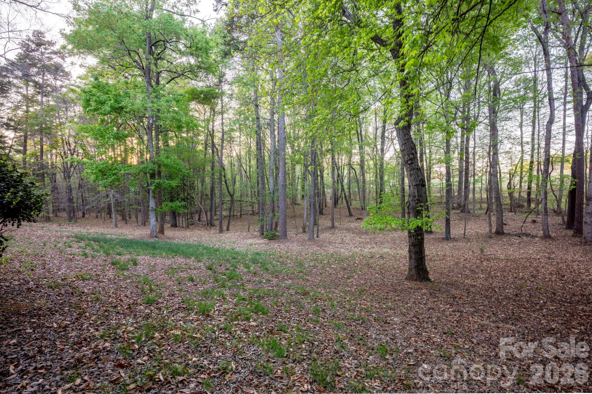 14504 Henry Harrison Stillwell Drive Property Photo 41