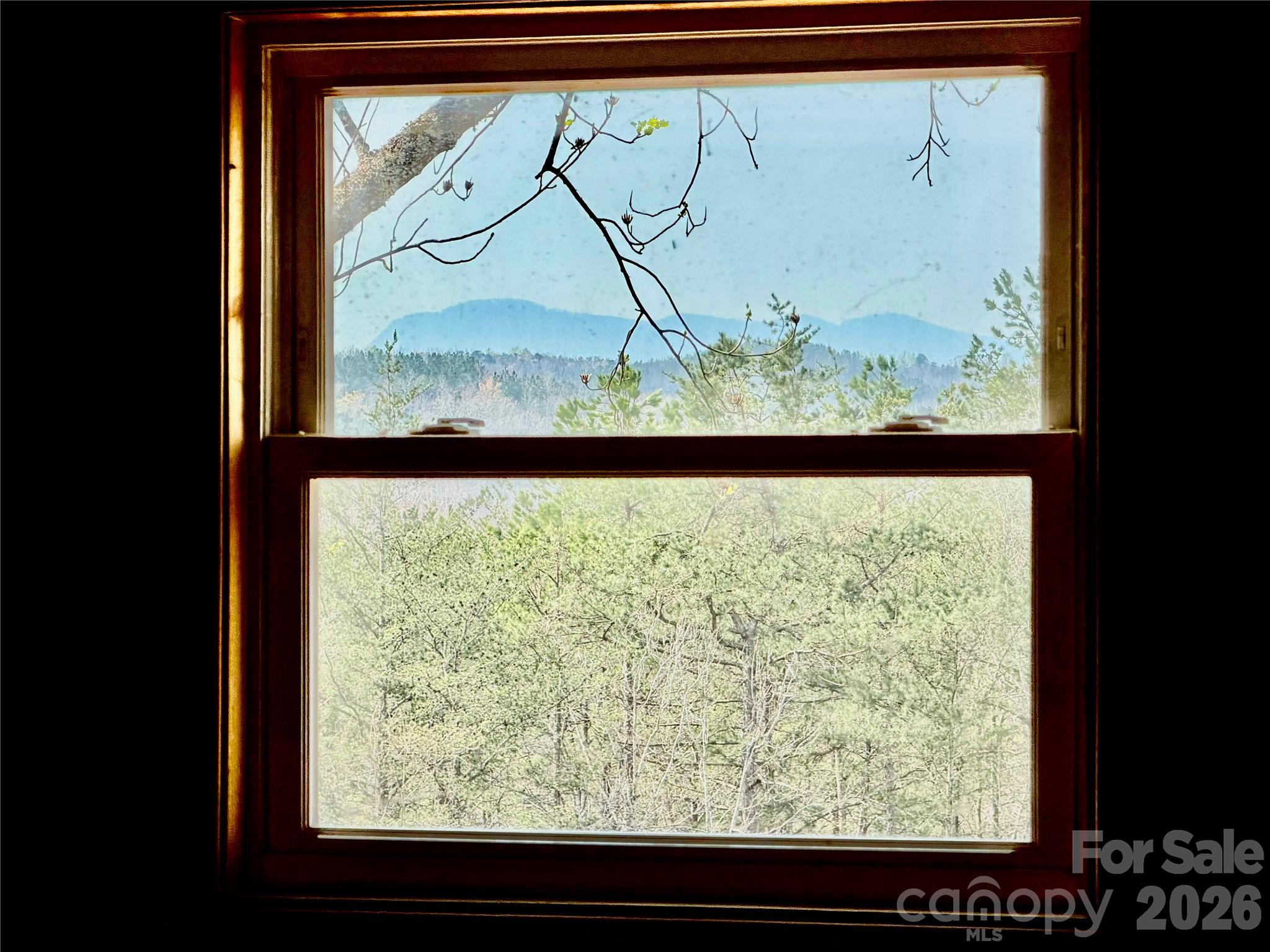 282 Calhoun Trail Property Photo 8