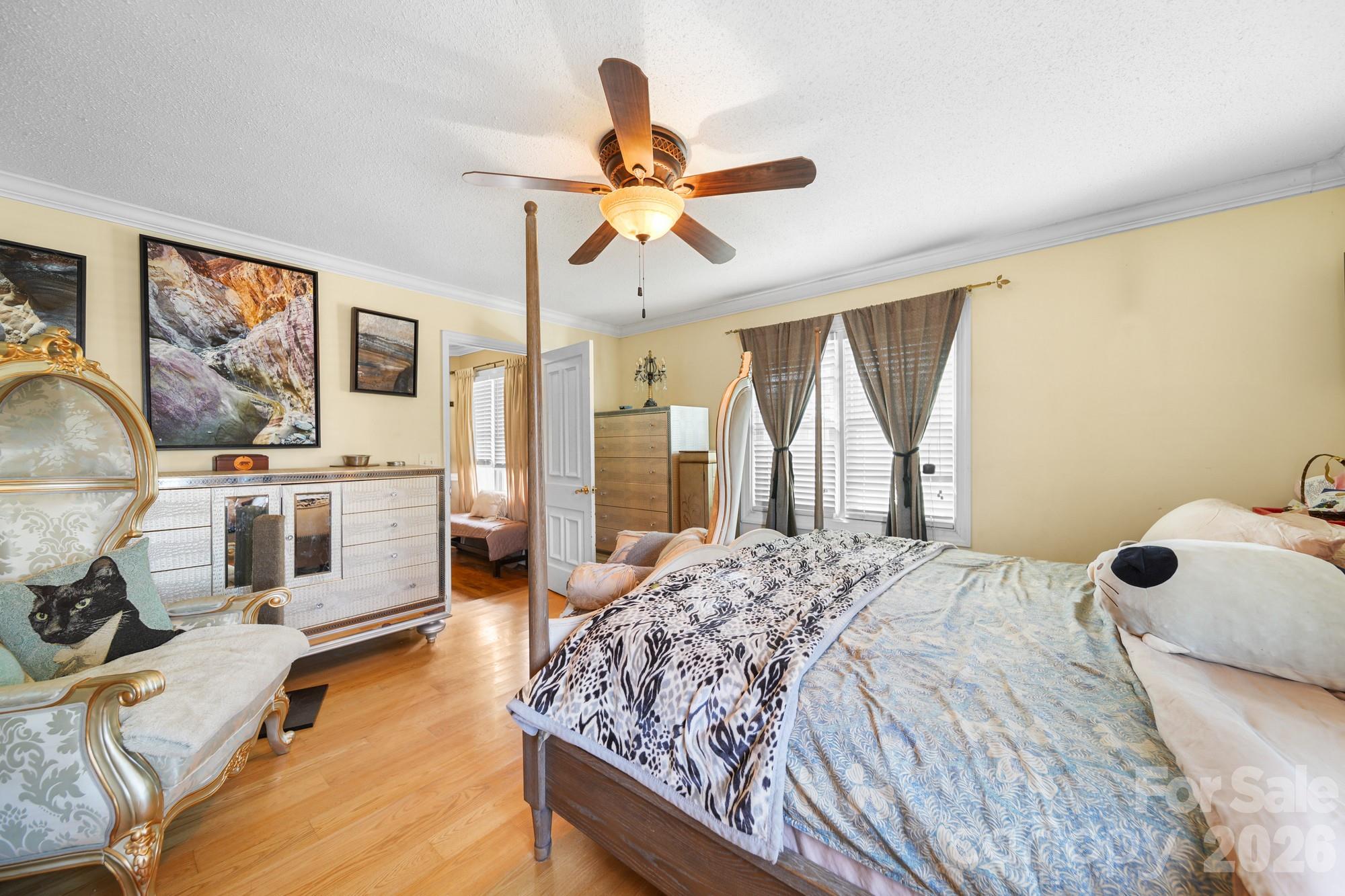 253 Allenton Street Property Photo 16