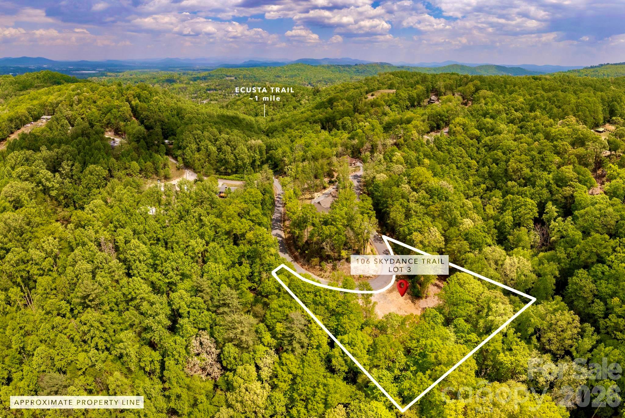 106 Skydance Trail 3 Property Photo 2