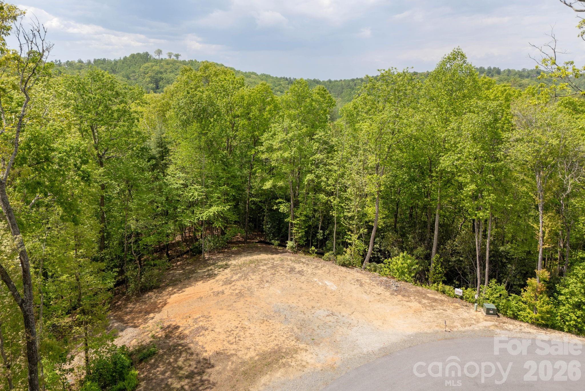 106 Skydance Trail 3 Property Photo 5
