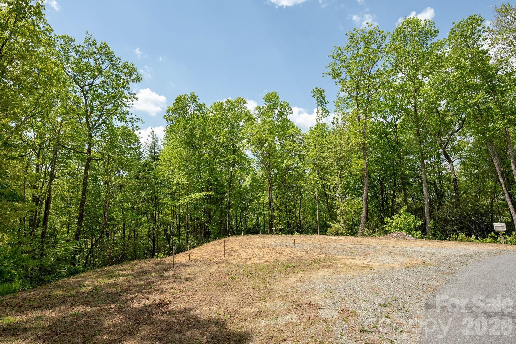 106 Skydance Trail 3 Property Photo 6