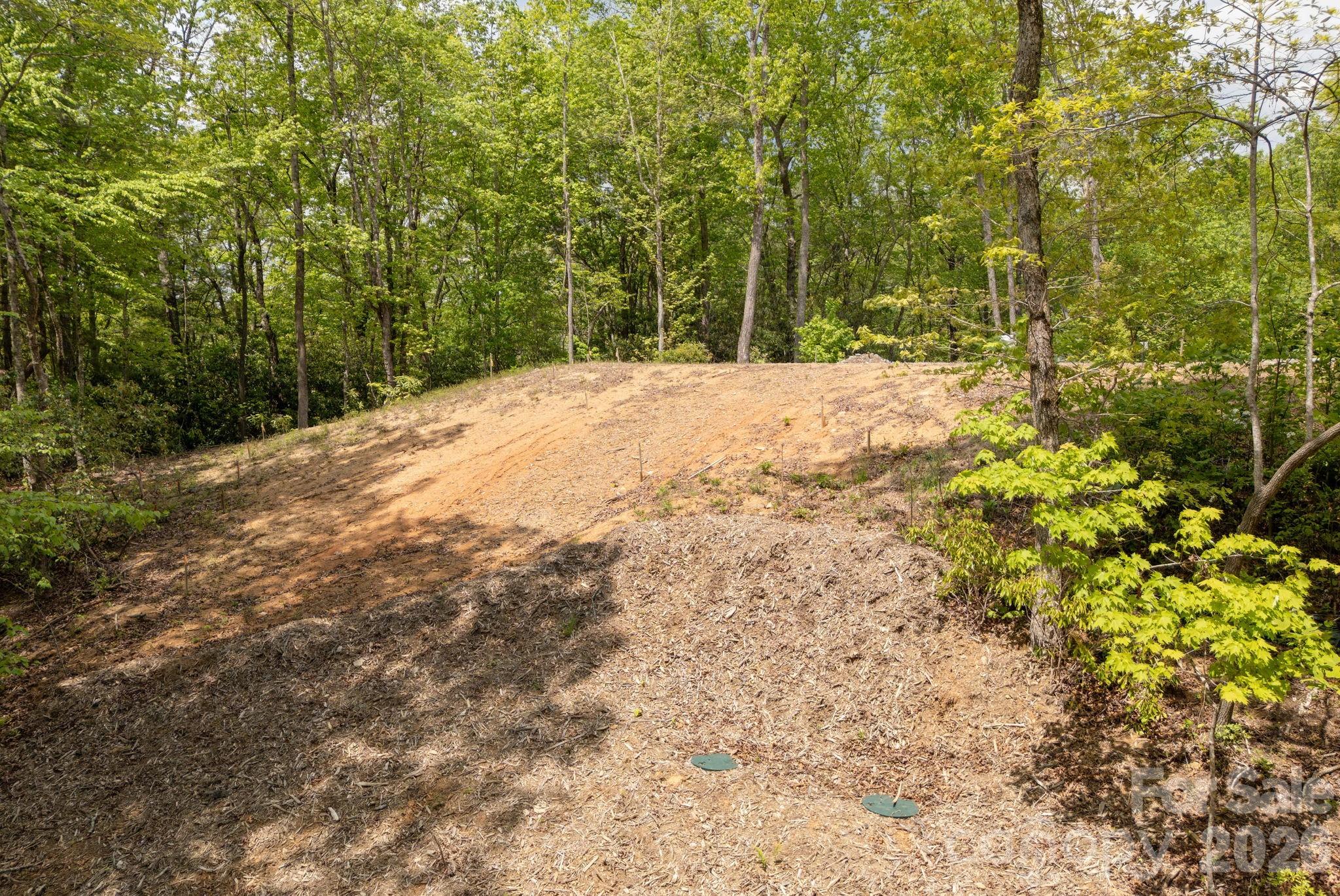 106 Skydance Trail 3 Property Photo 10