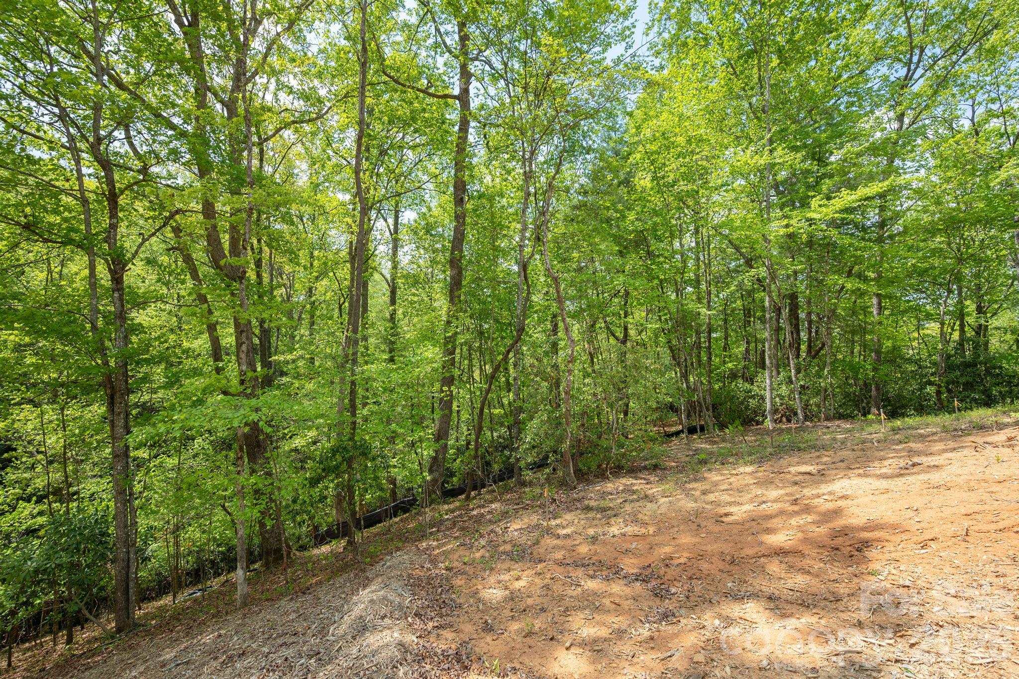 106 Skydance Trail 3 Property Photo 11