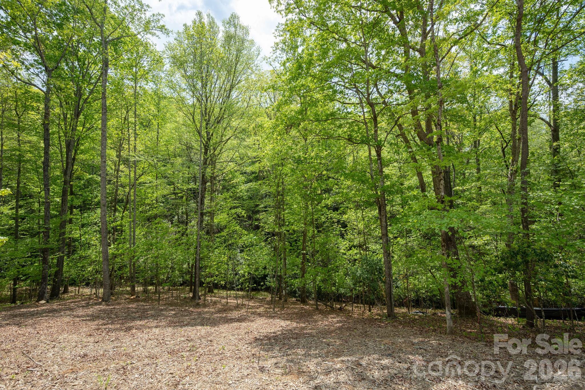 106 Skydance Trail 3 Property Photo 12