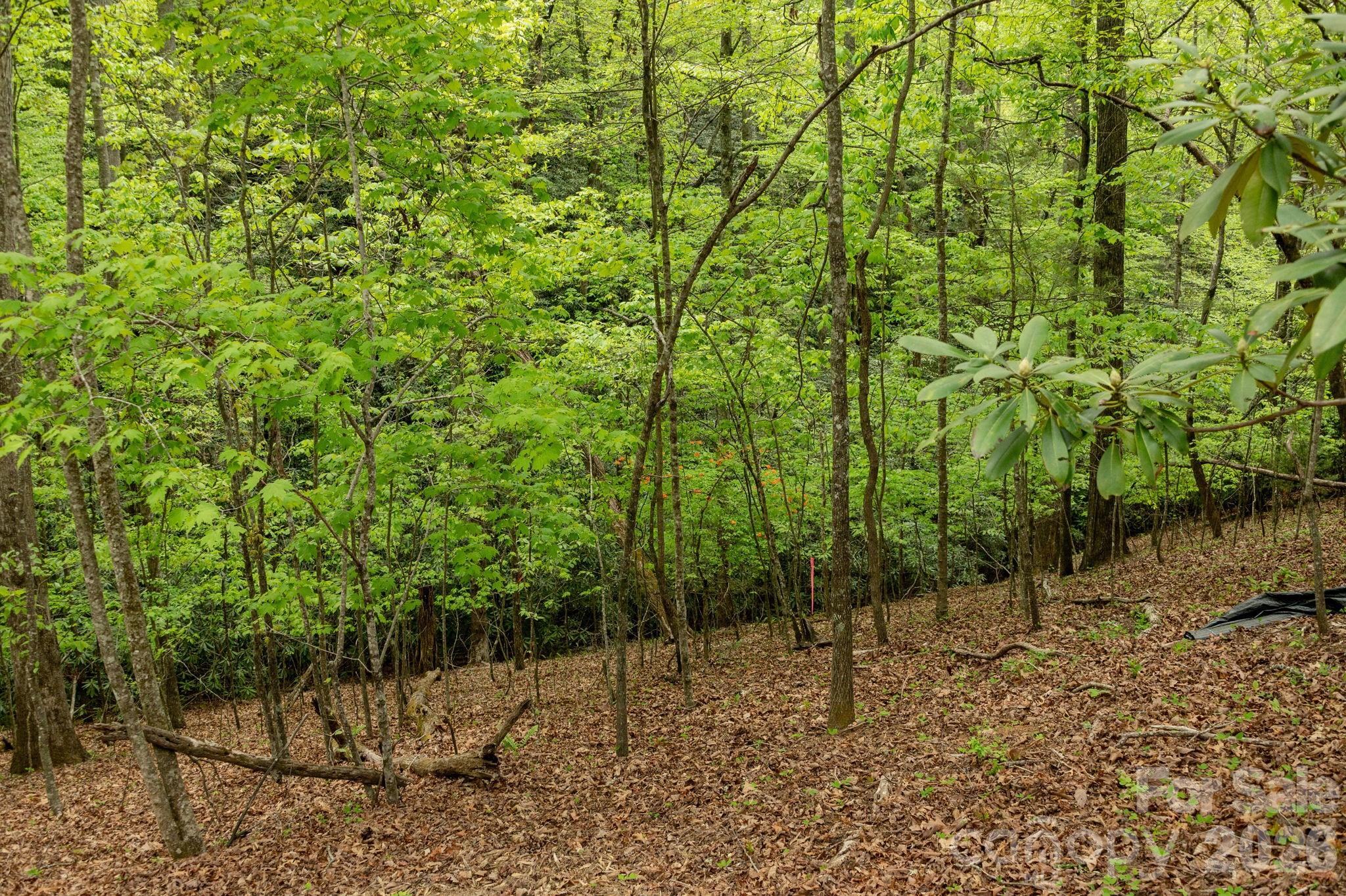 106 Skydance Trail 3 Property Photo 13