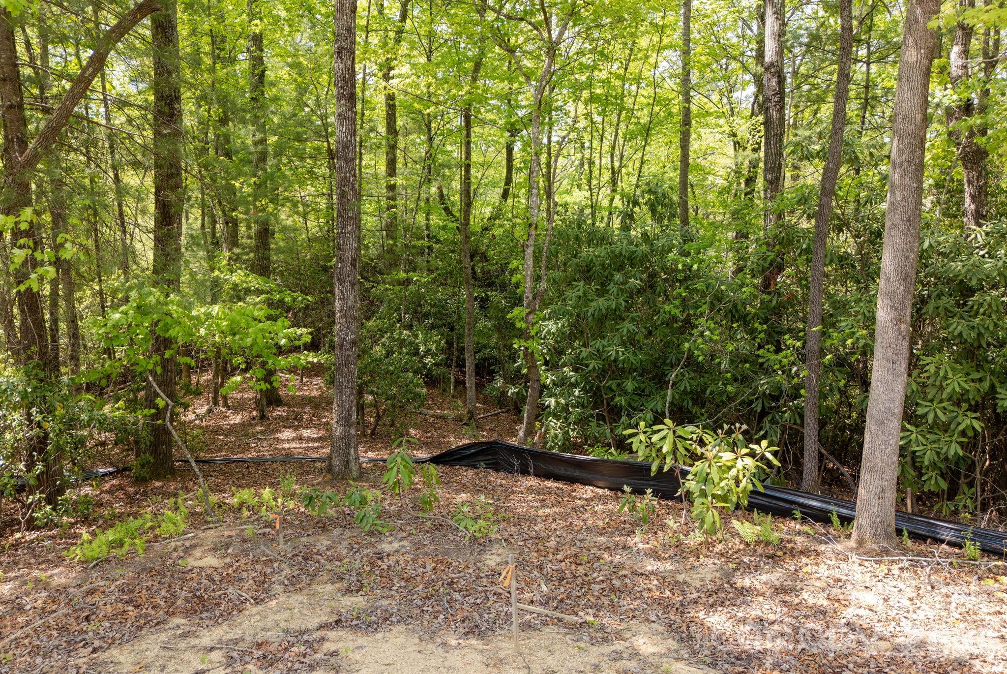 106 Skydance Trail 3 Property Photo 14